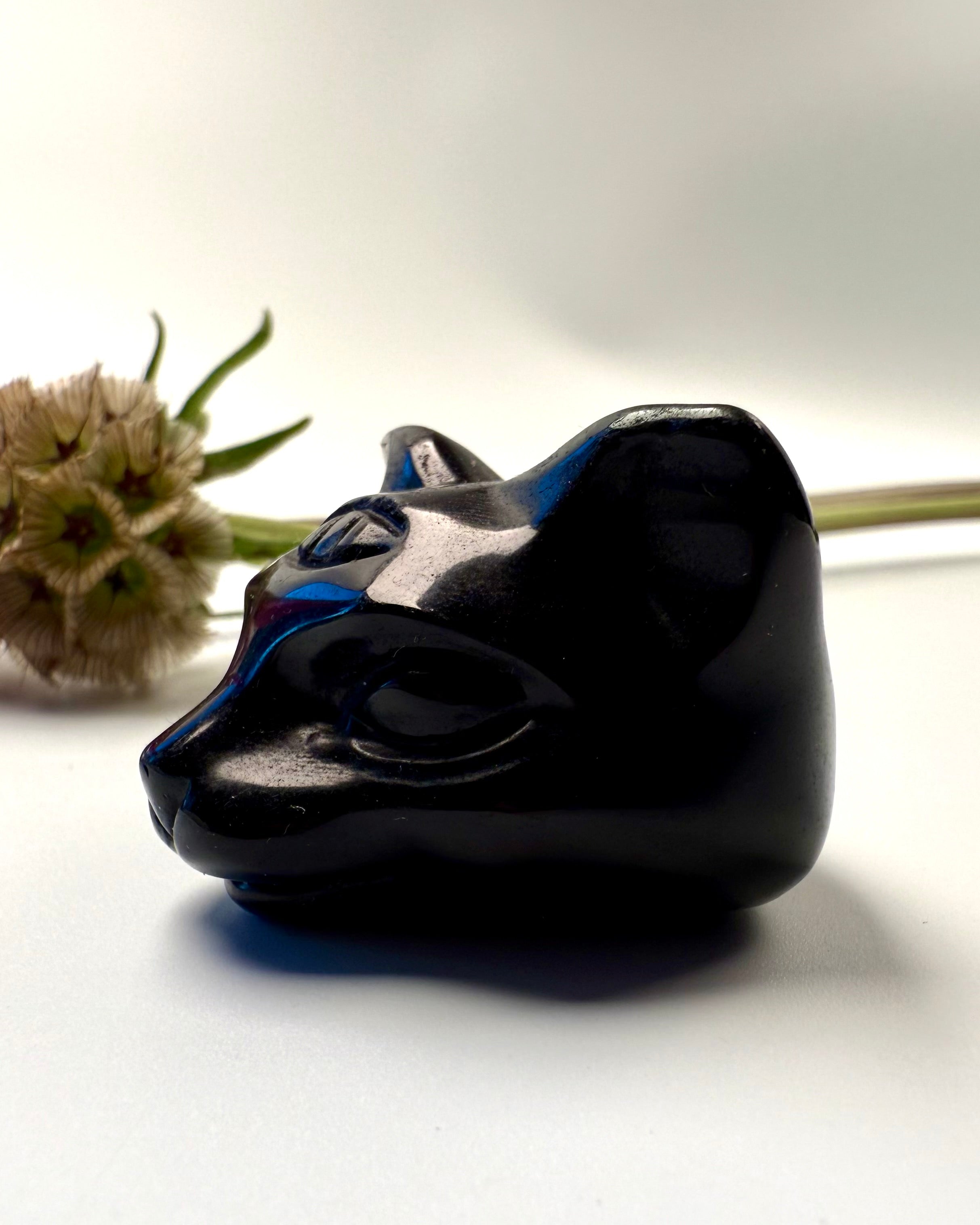 REJSE TIL TIDLIGERE LIV - KRYSTAL