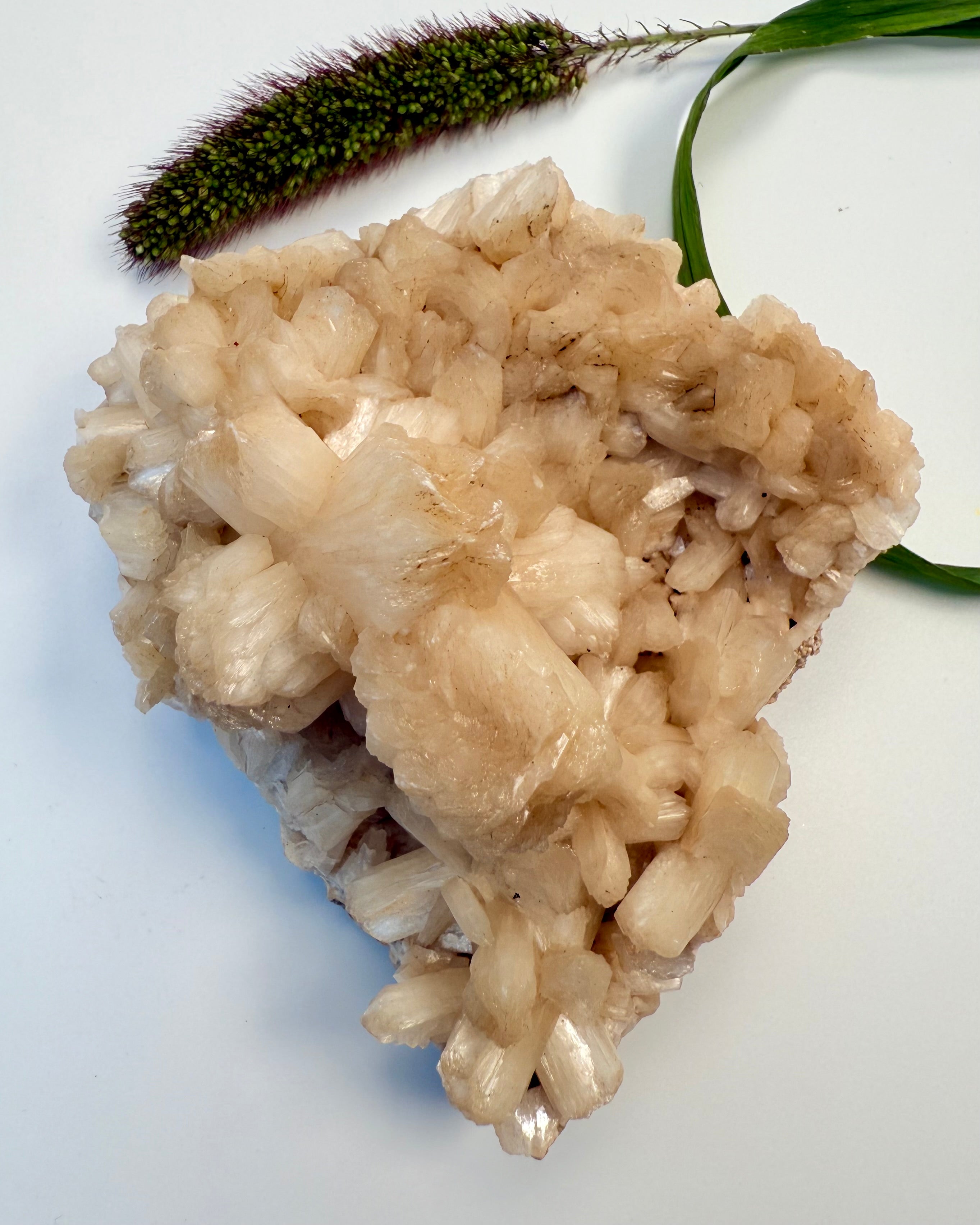 STOP TANKEMYLDER - KRYSTAL - UNIKA