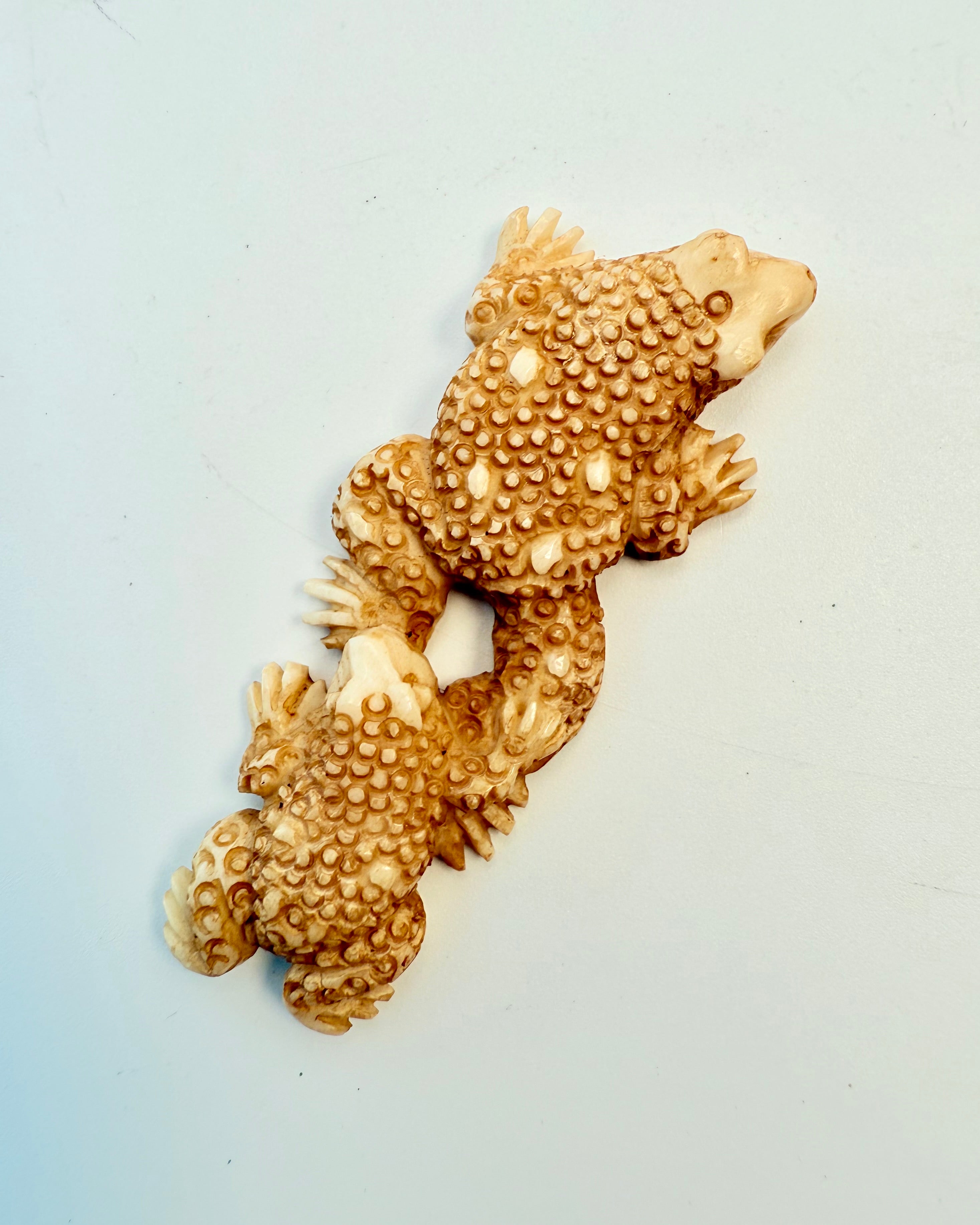 FORBUNDET OG FORENET - GEKKO