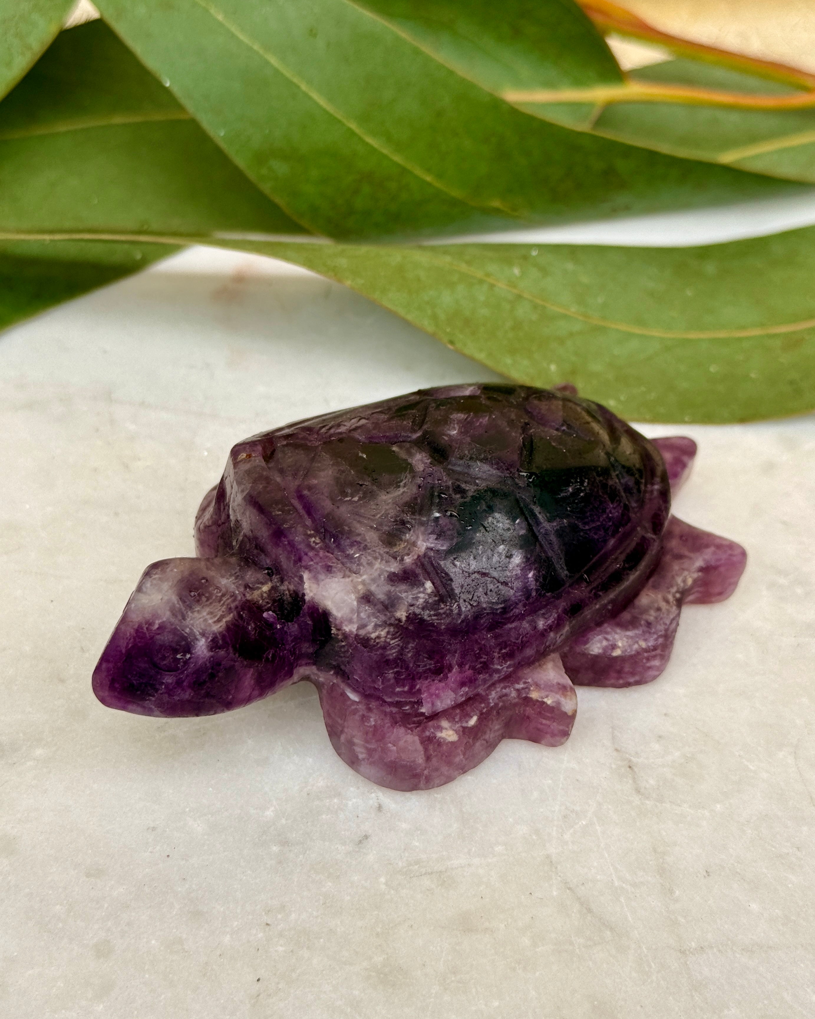 STRESS FRI ZONE - SKILPADDE - UNIKA