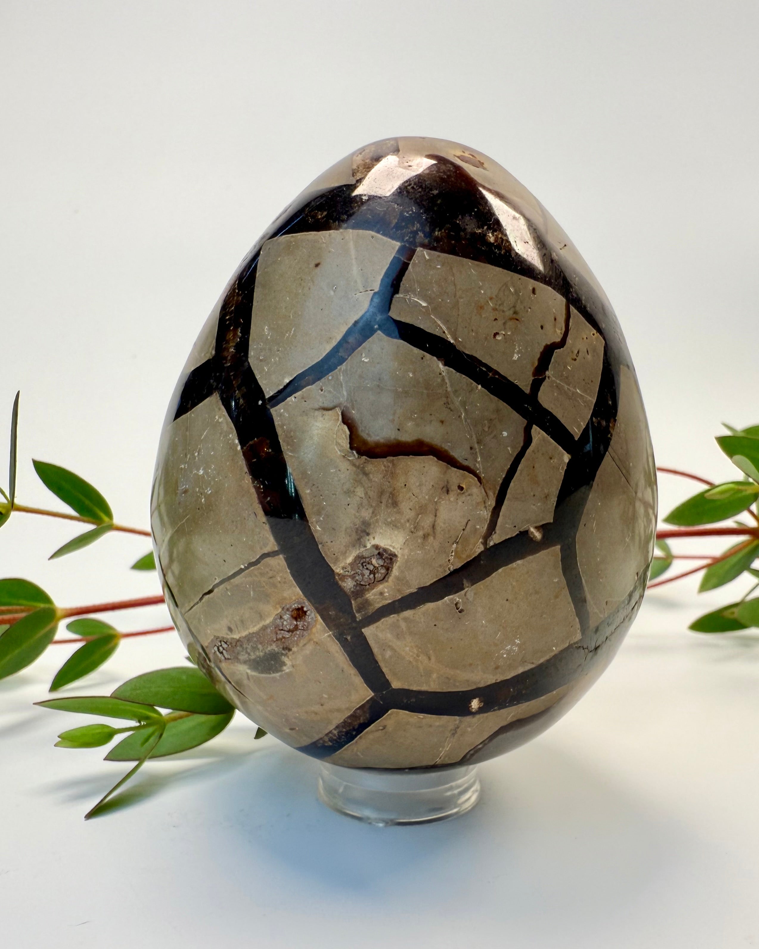 THE HIDDEN REALM - KRYSTAL - UNIKA