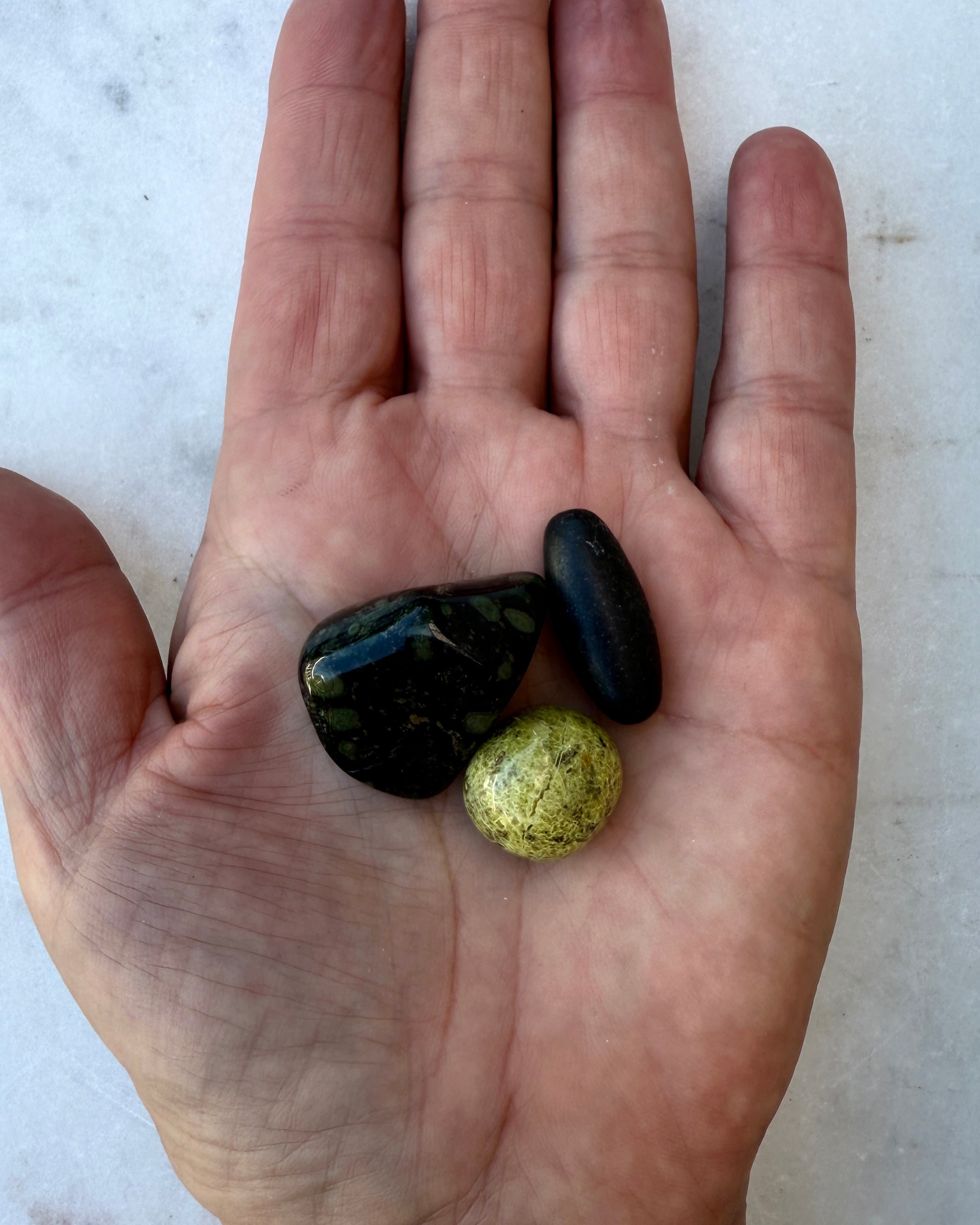 KREBSEN - STJERNETEGN - SÆT