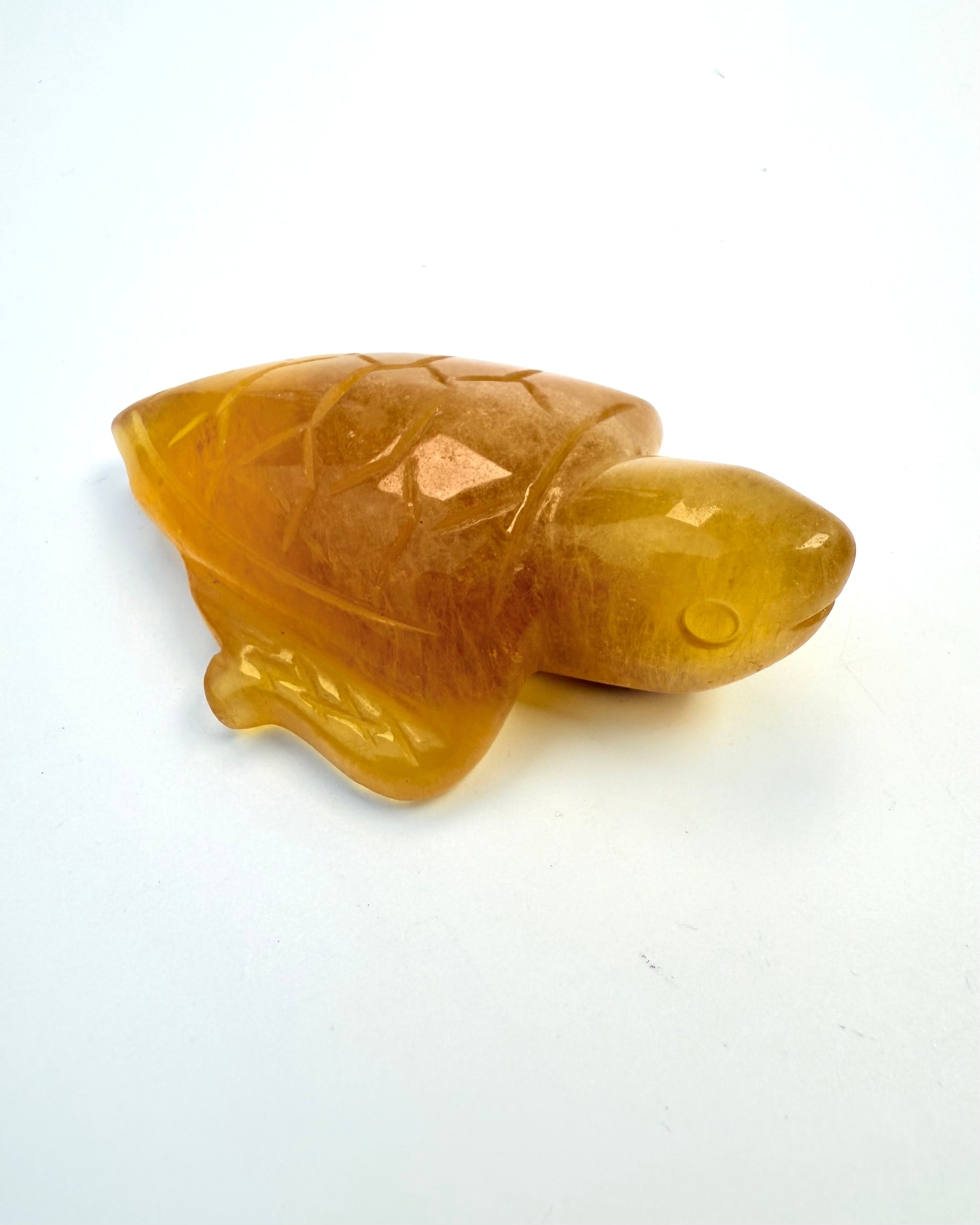 FRIHED - SKILDPADDE - UNIKA