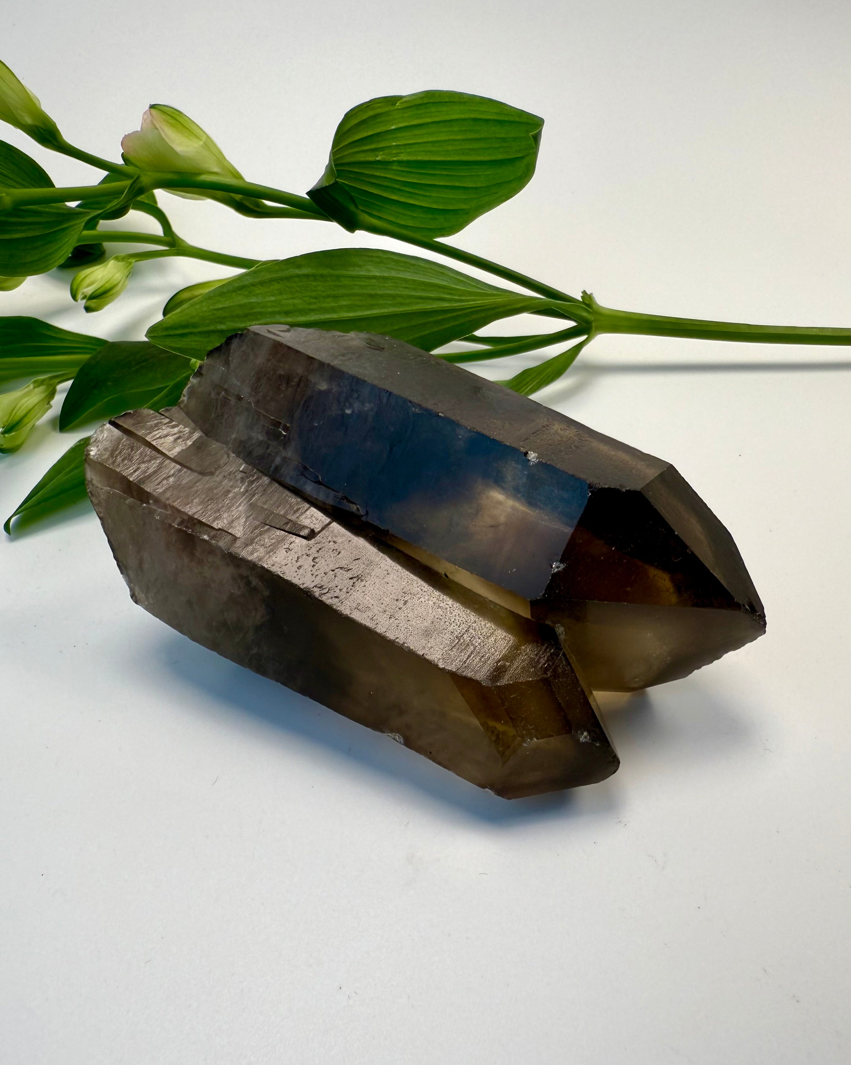 DUALITET - KRYSTAL - UNIKA