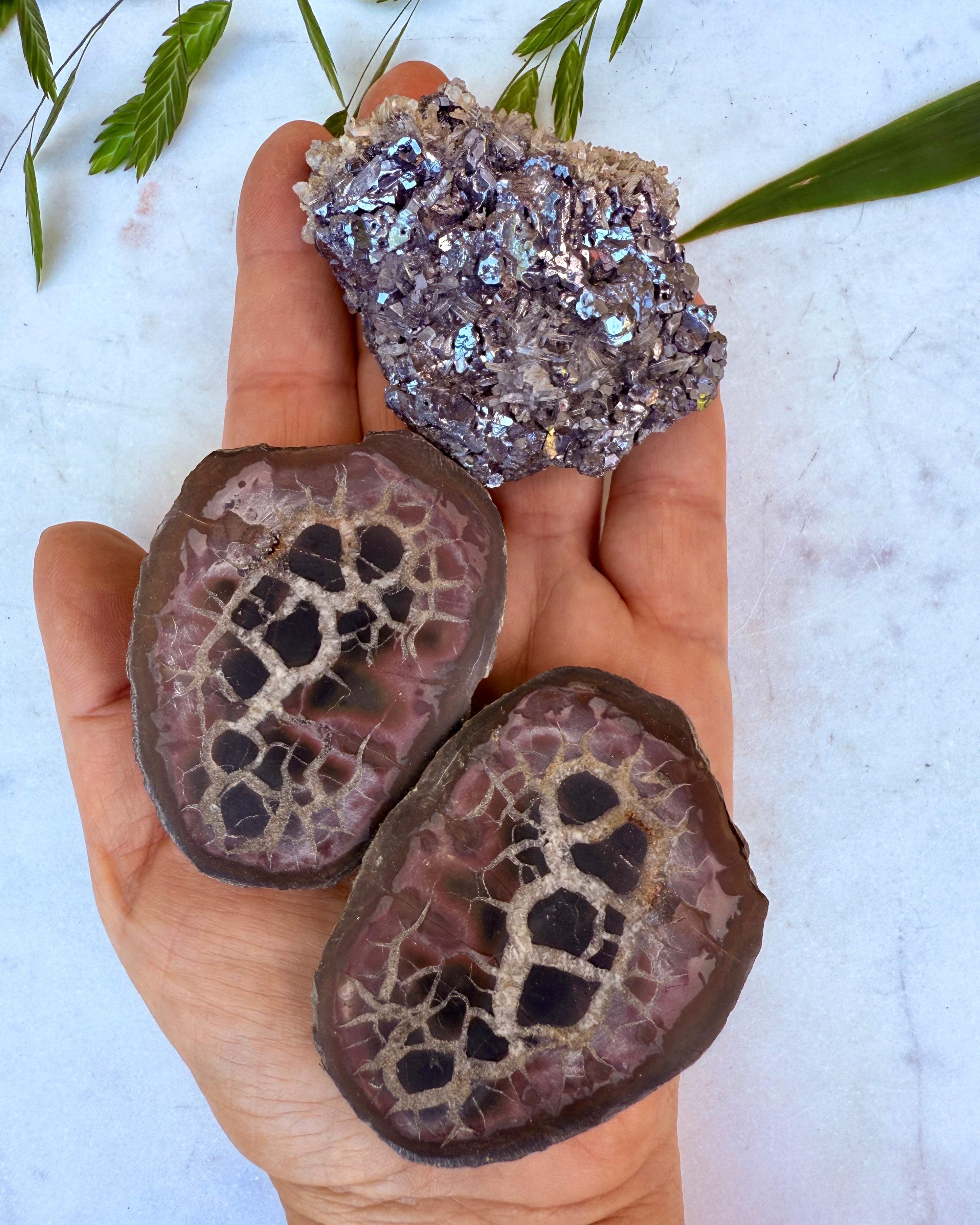 TIDLIGERE LIV - KRYSTALSÆT - UNIKA