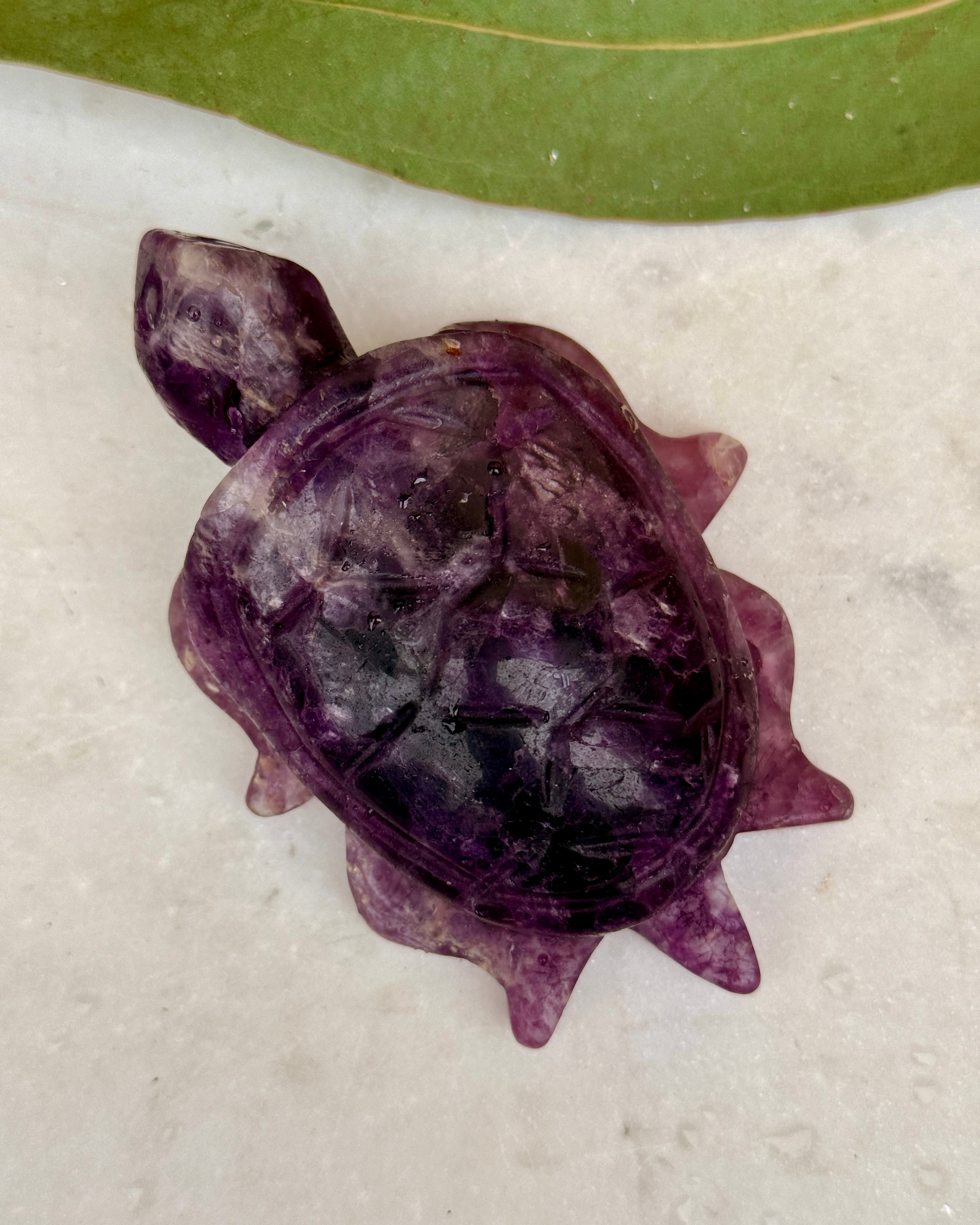 STRESS FRI ZONE - SKILPADDE - UNIKA