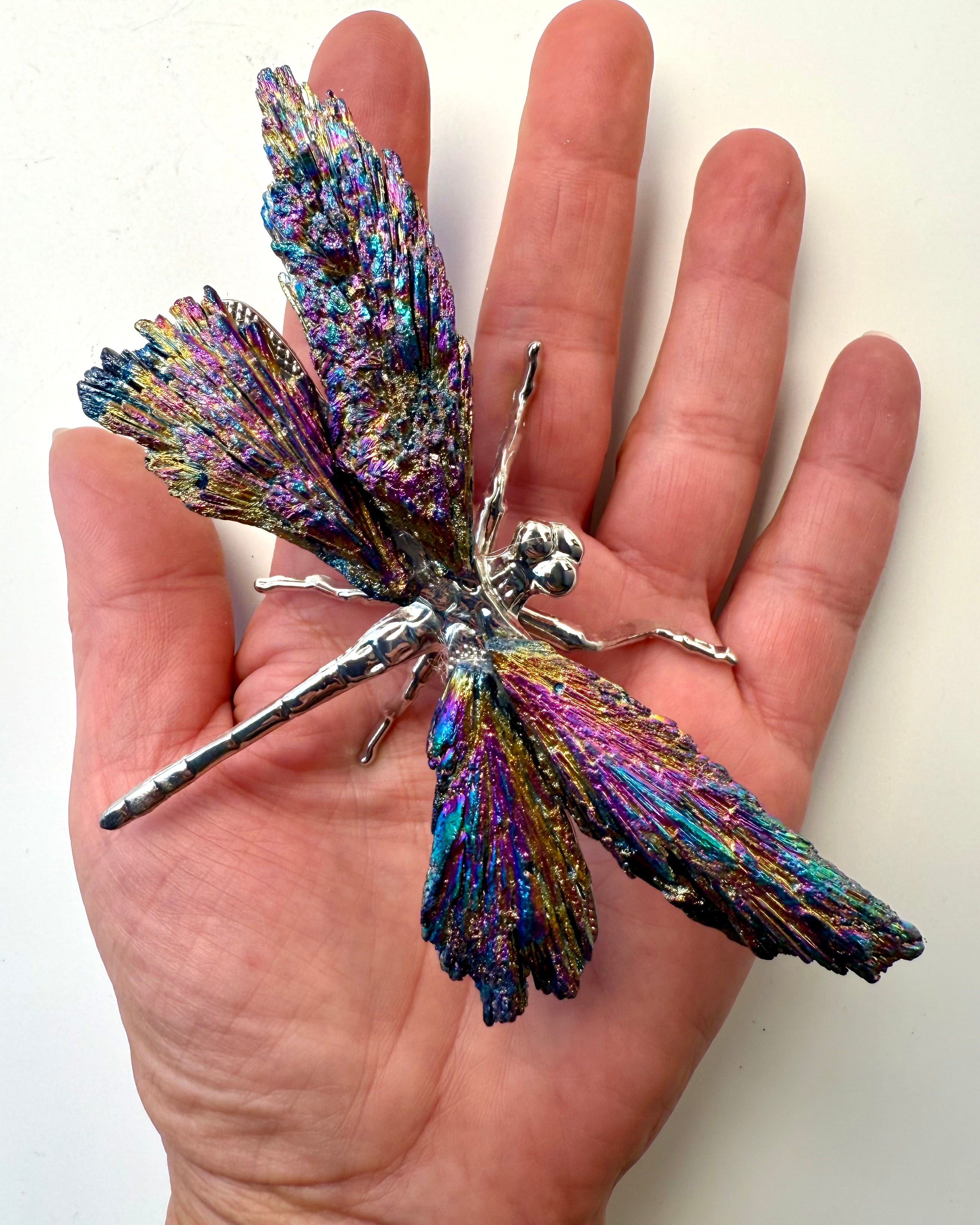 MAKE YOUR DREAMS COME TRUE - DRAGONFLY