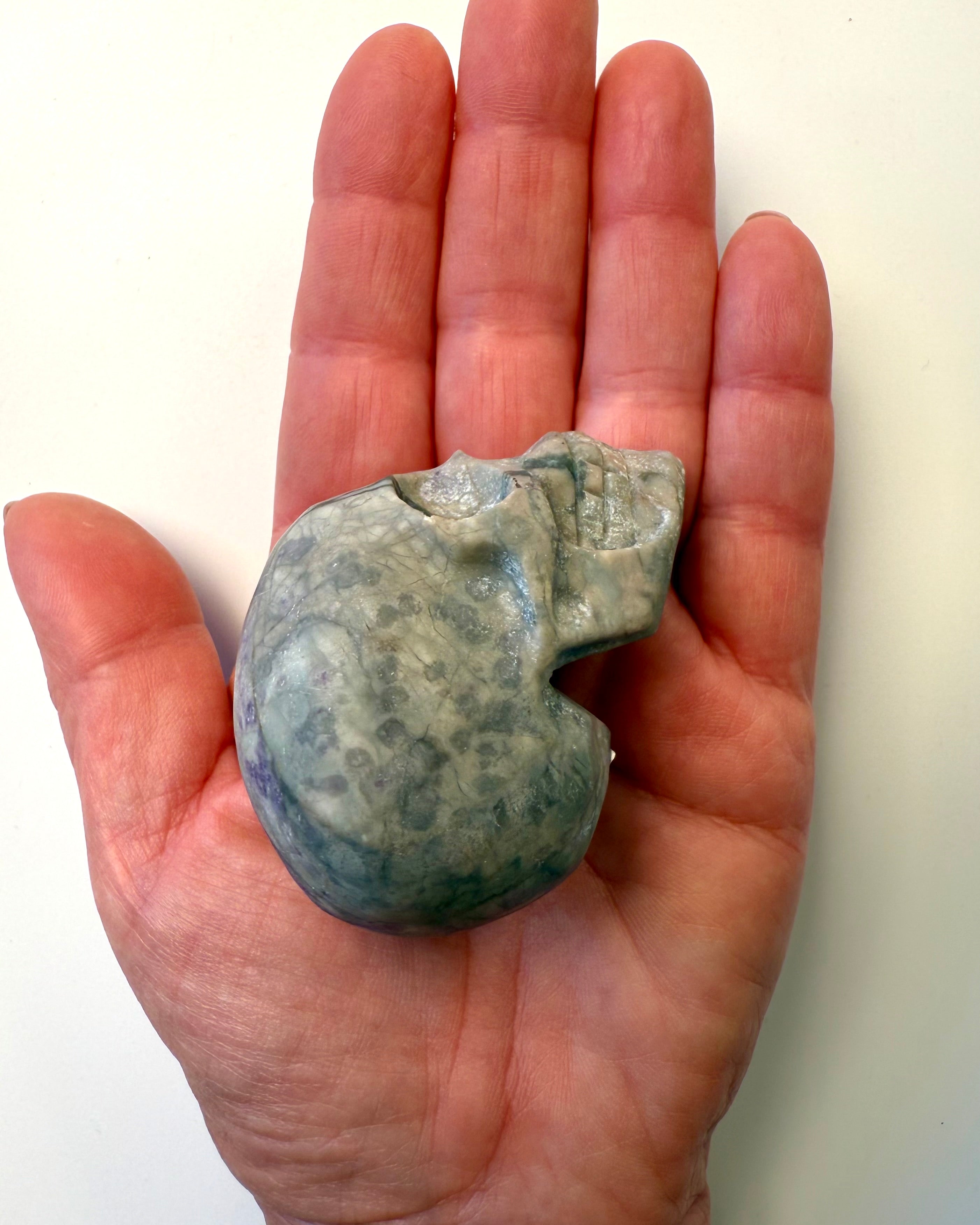 OVERGANGENS MESTER - KRANIE - UNIKA