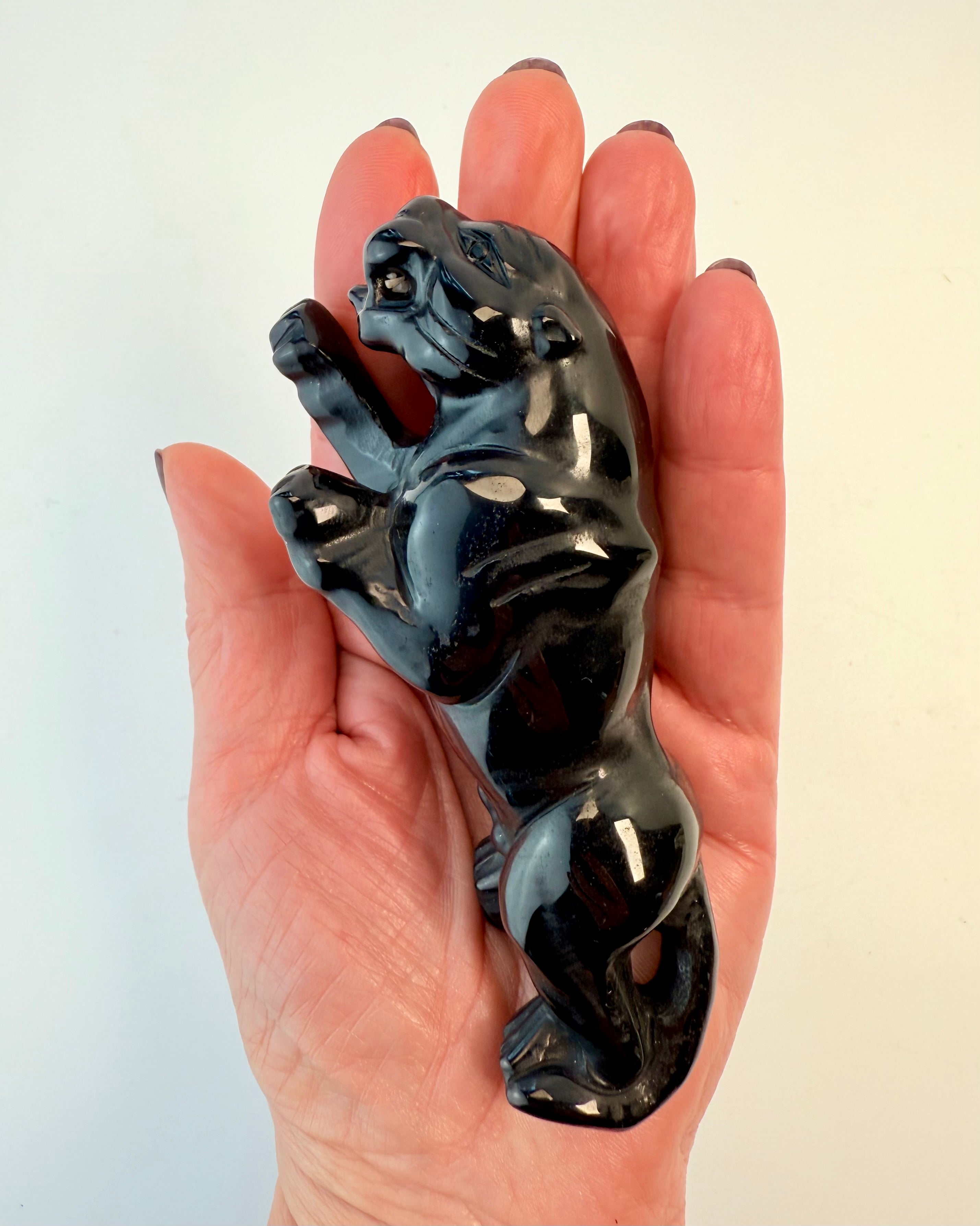 MØRKETS FREMDRIFT - JAGUAR - UNIKA