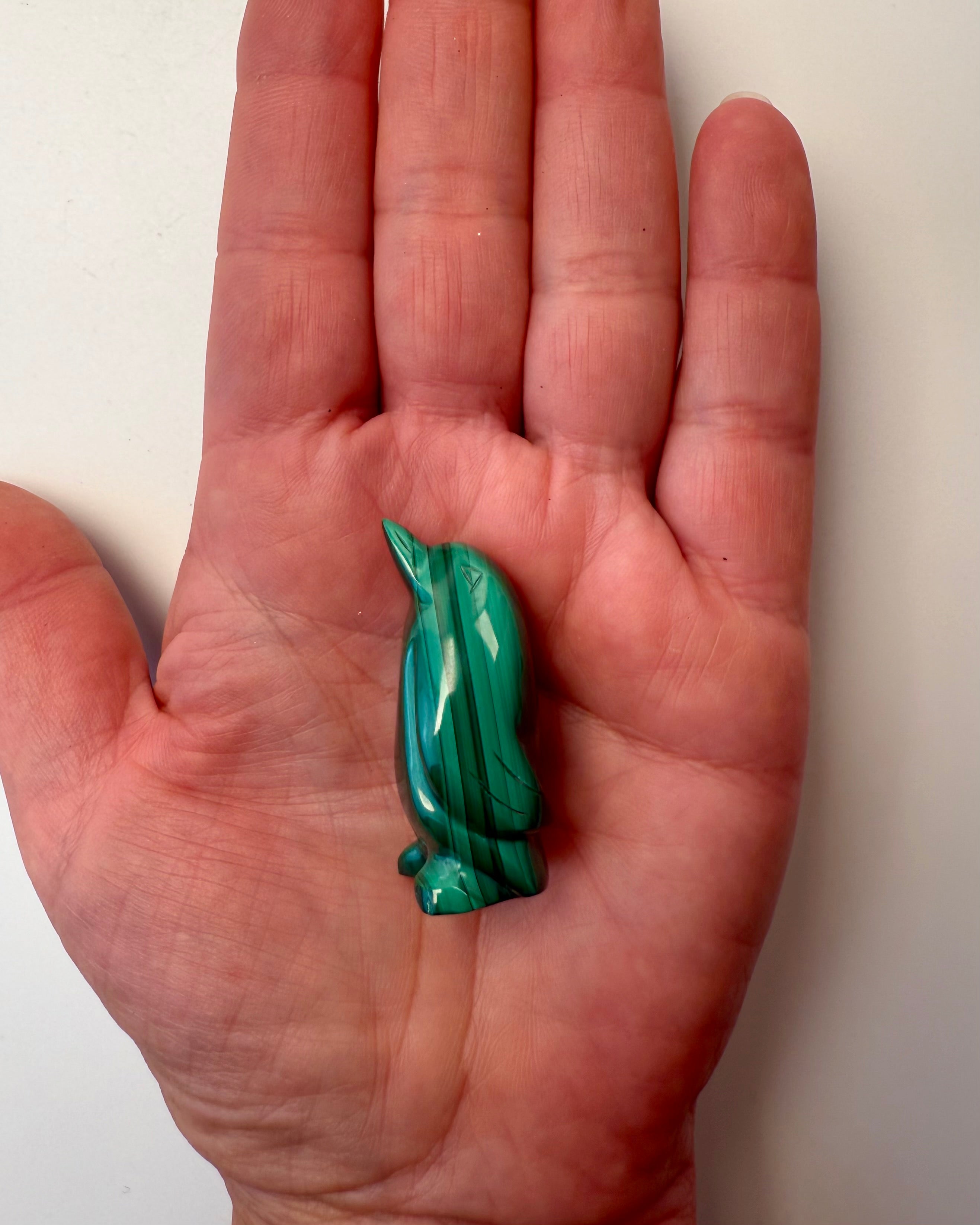 DIN EGEN SEJR - PINGVIN