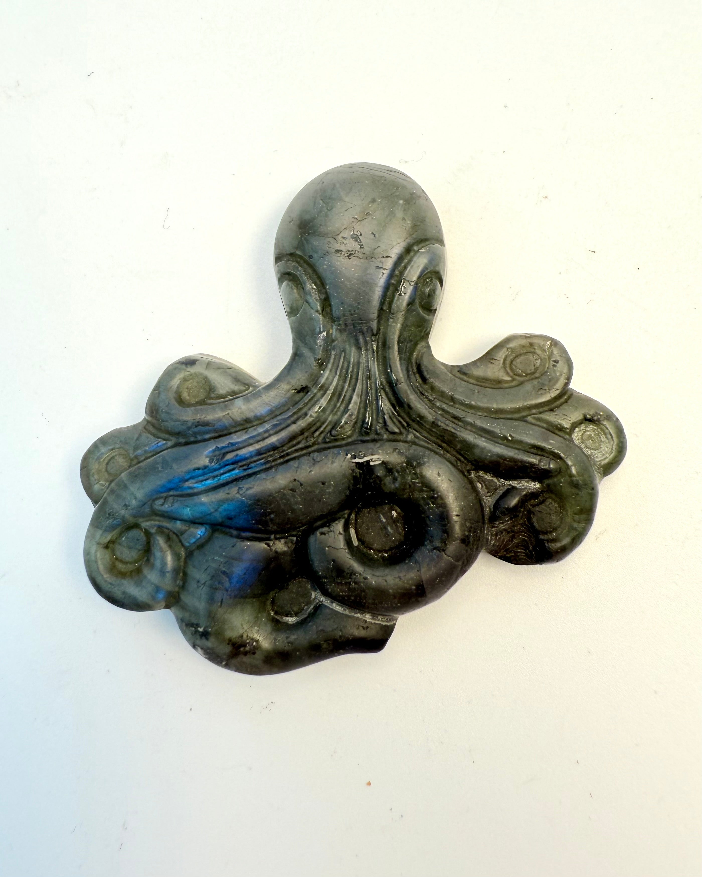 PARADIGMESKIFT - BLÆKSPRUTTE - UNIKA