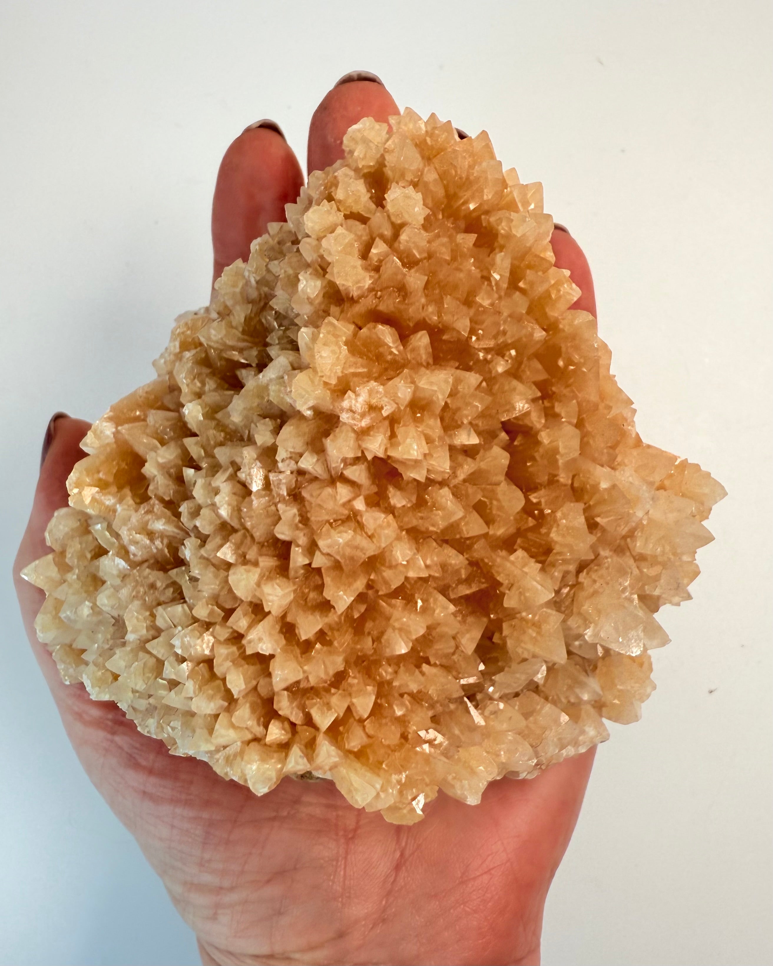 DEN SUVERÆNE OPLØFTNING - KRYSTAL - UNIKA