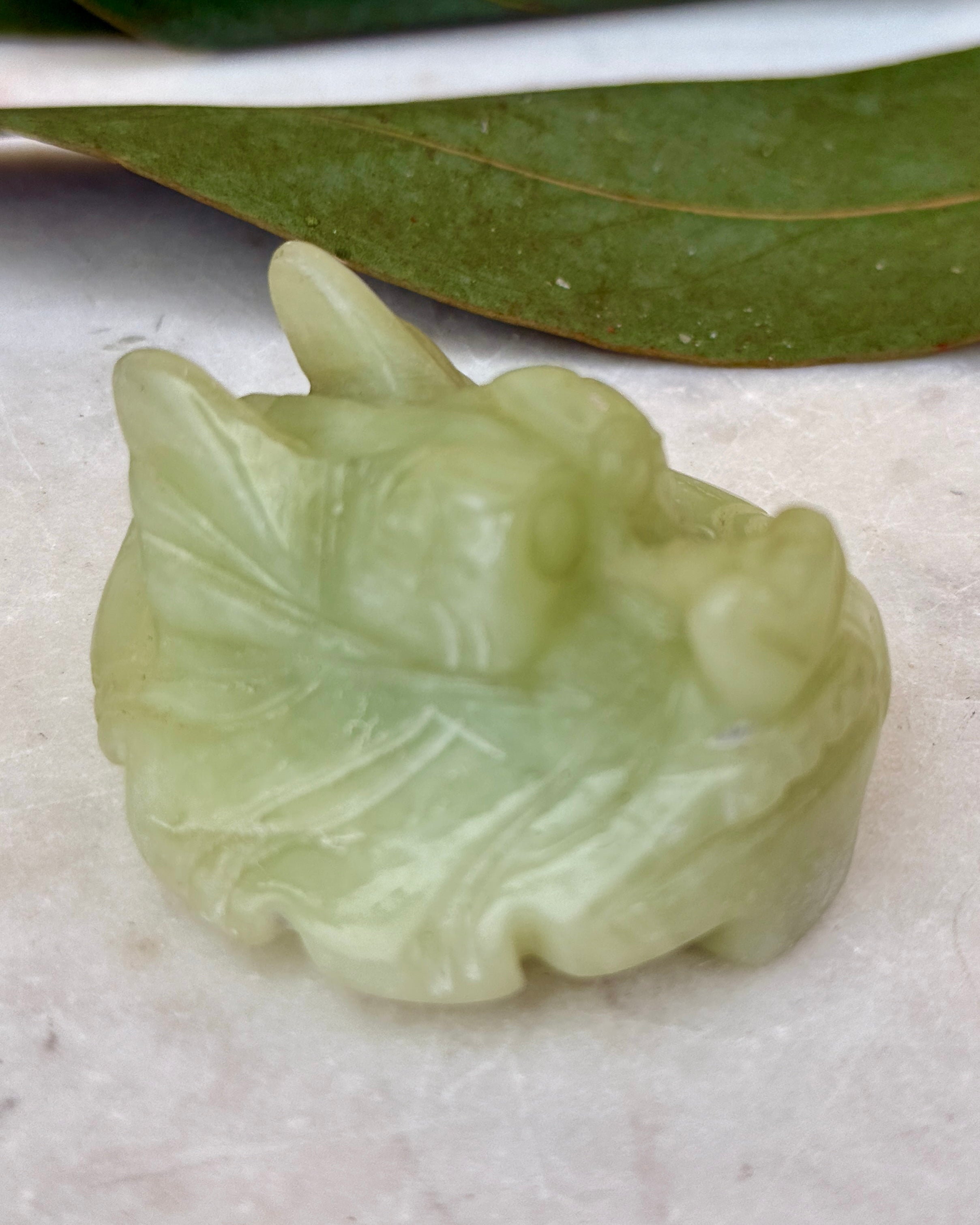 BAG FACADEN - VÆSEN