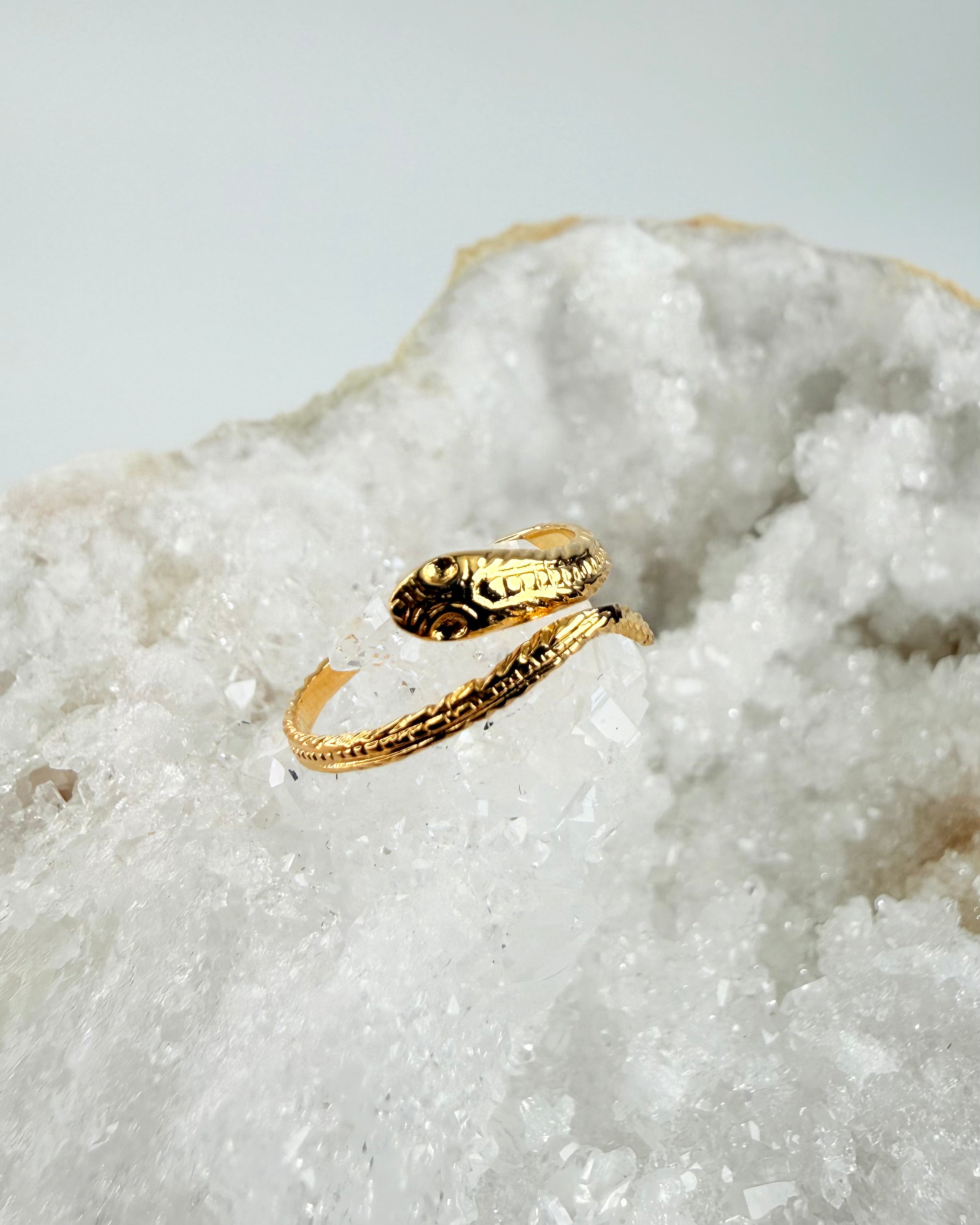 SLANGENS INSTINKT – RING 1 tilb
