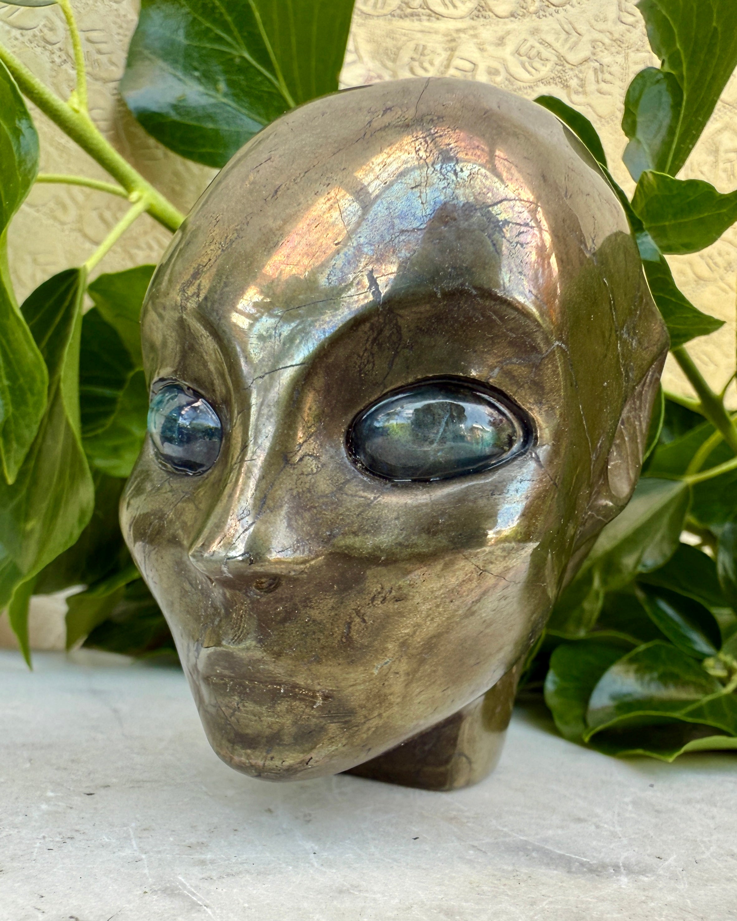 UANEDE FORBINDELSER - ALIEN - UNIKA