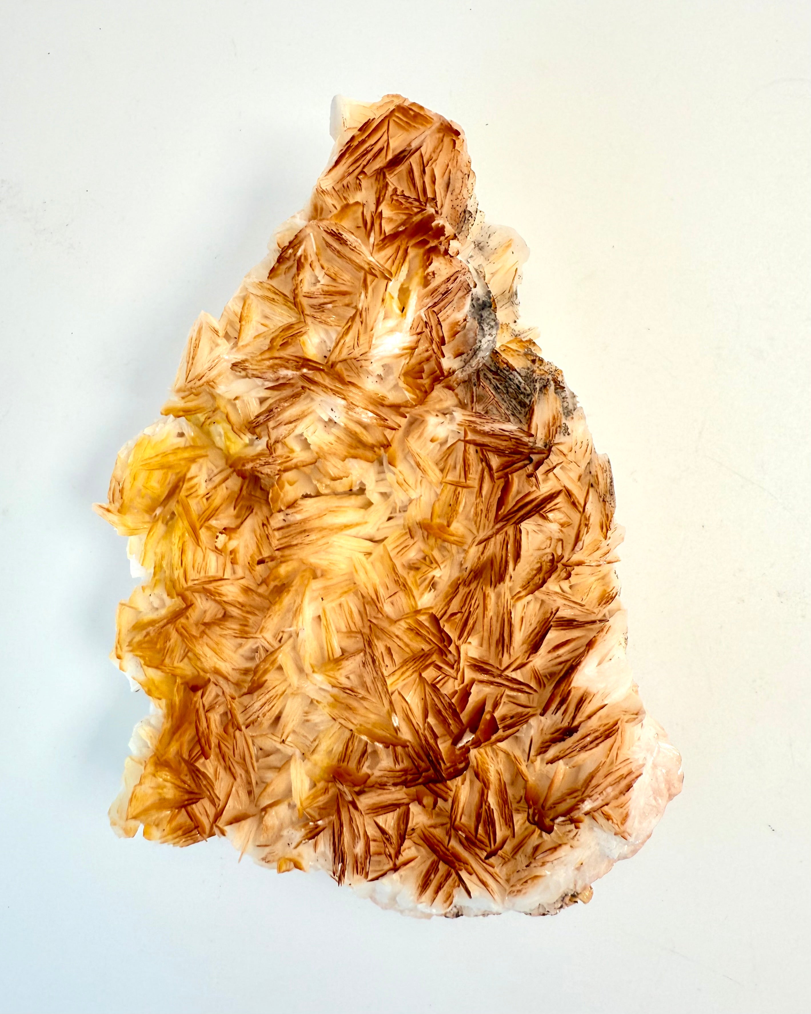 JORDORAKLETS KODNINGER - KRYSTAL - UNIKA