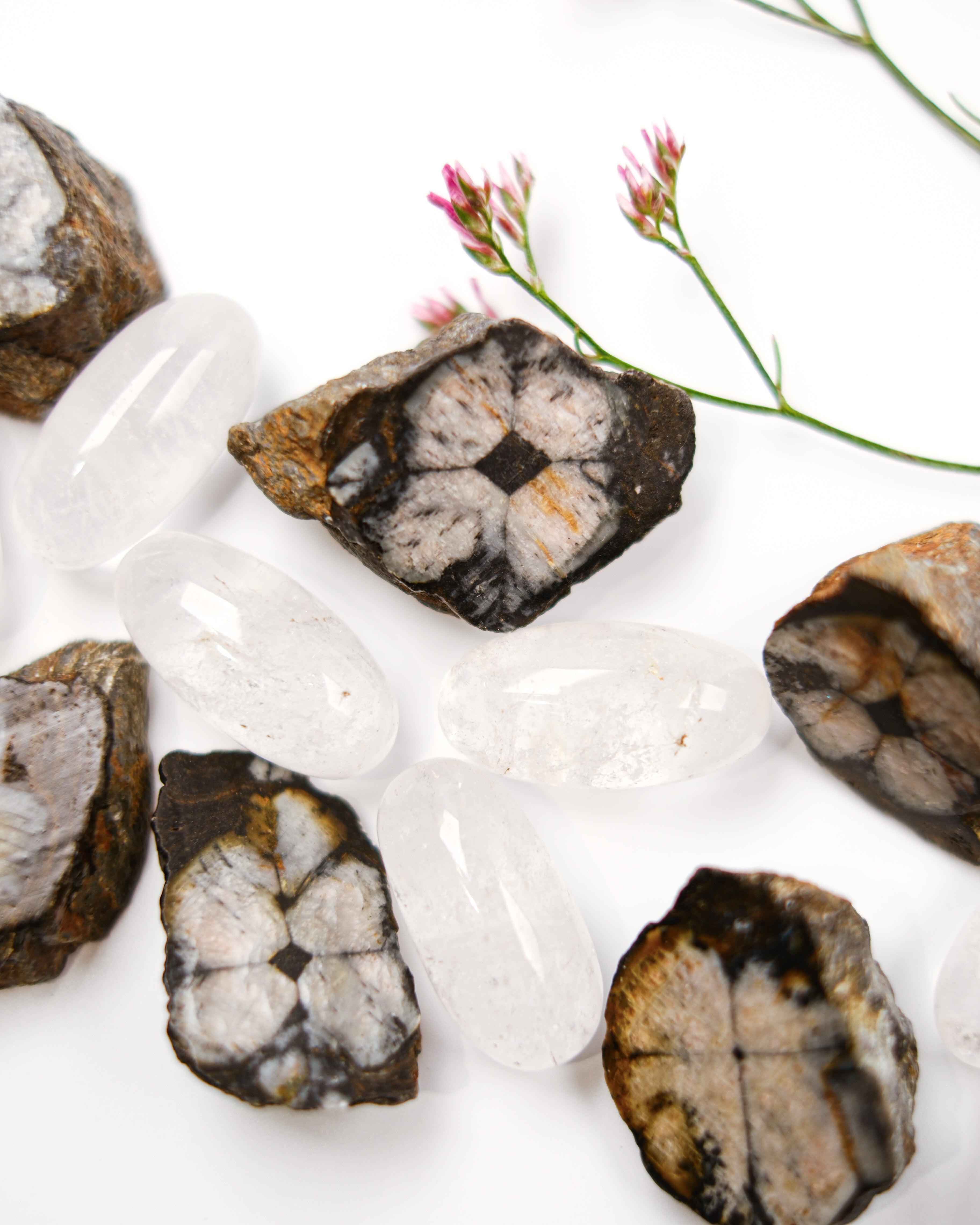 THE MEMORY OF PAST LIVES - KRYSTALPAR