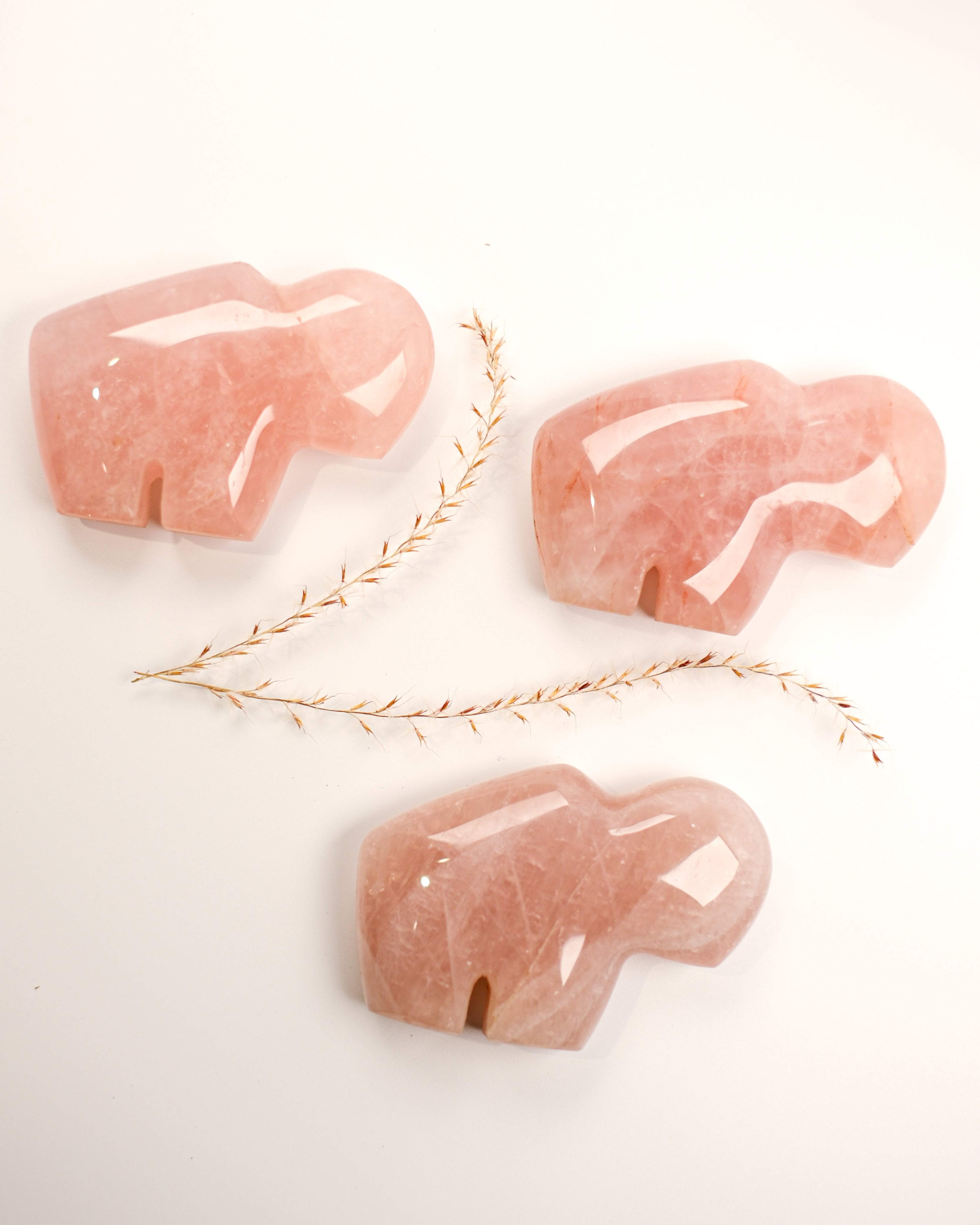 ACCEPT AF NUET - KÆRLIGHEDSBØFFEL