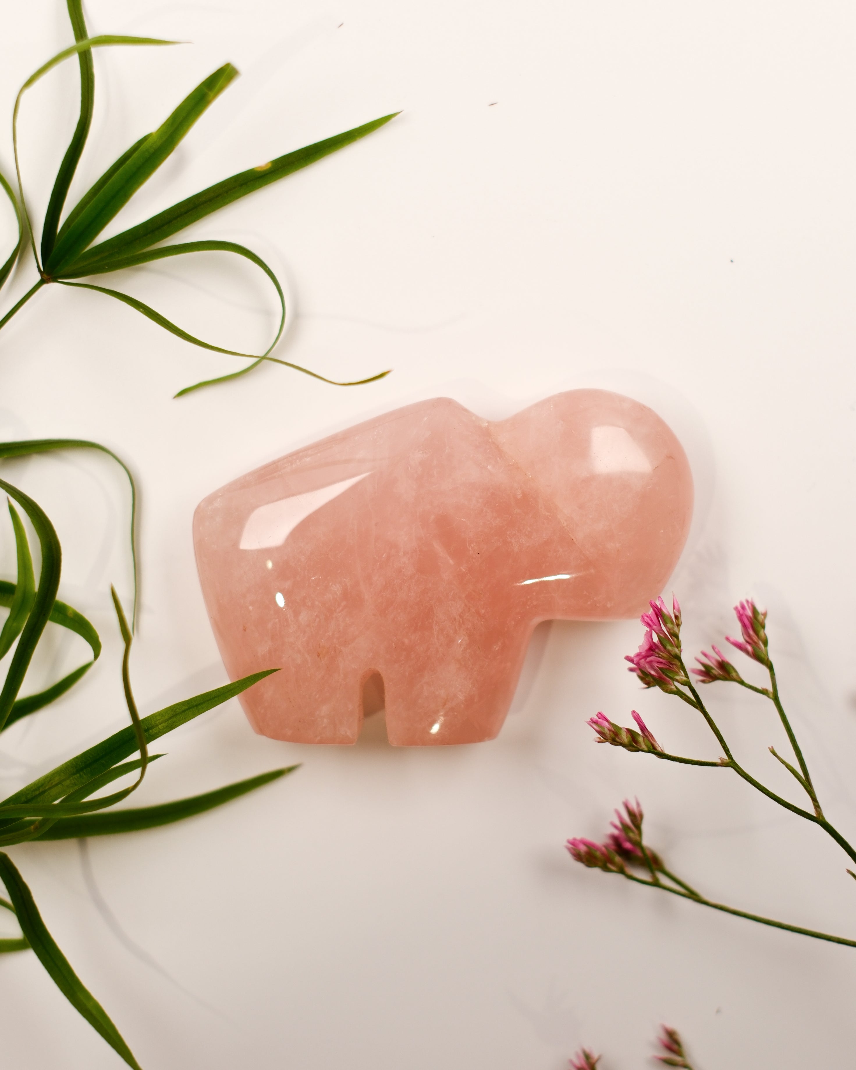 ACCEPT AF NUET - KÆRLIGHEDSBØFFEL