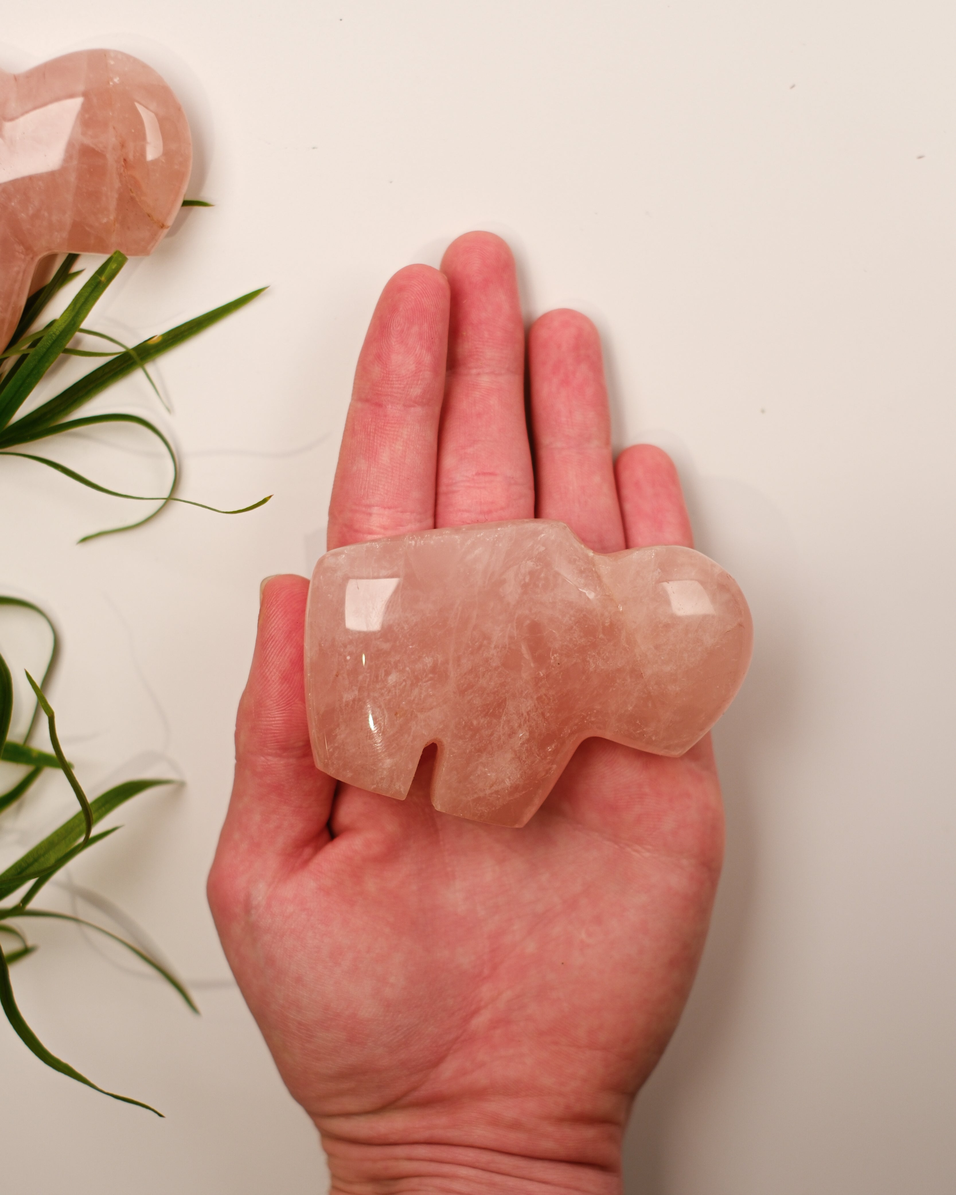 ACCEPT AF NUET - KÆRLIGHEDSBØFFEL