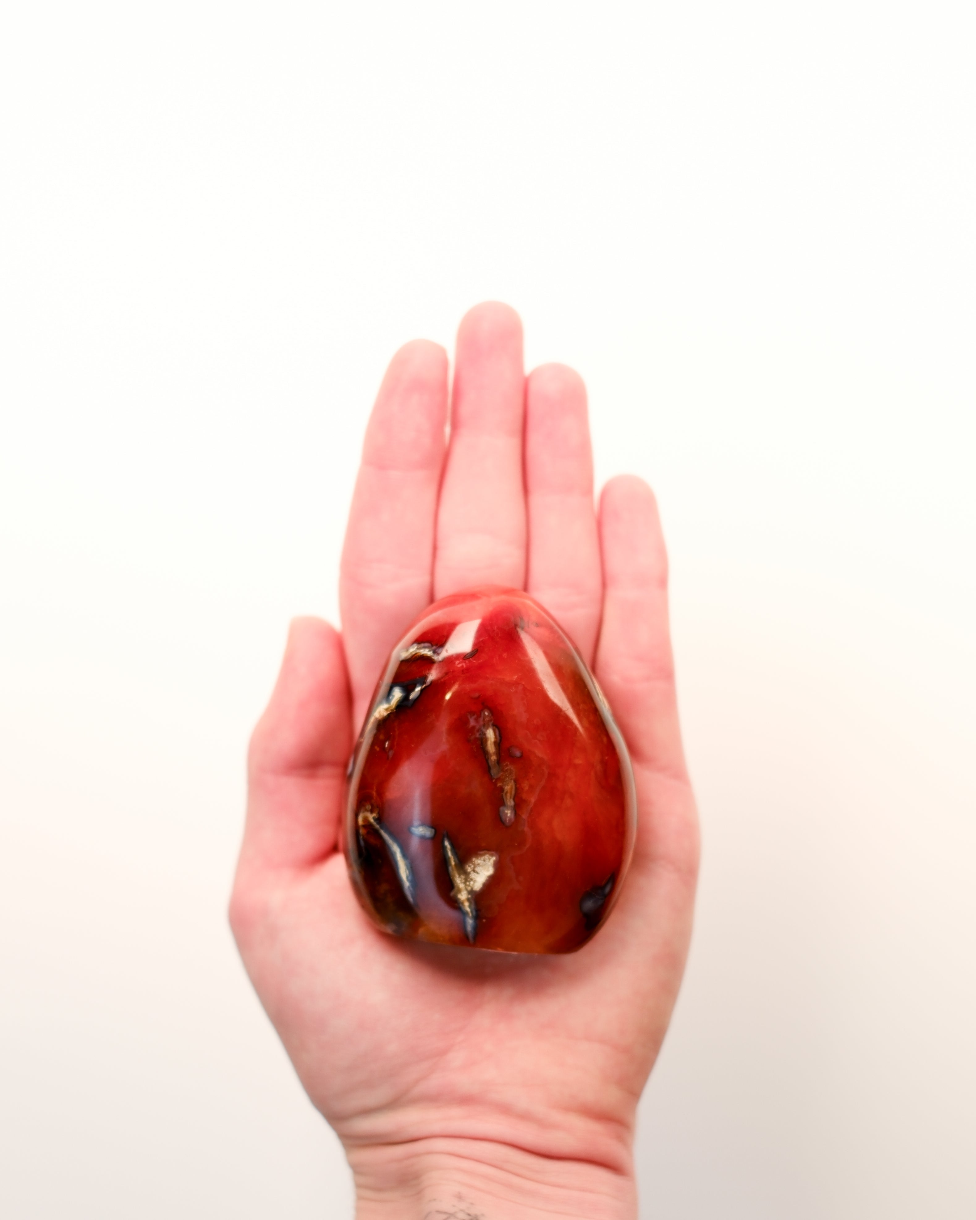 AWAKEN WITHIN - KRYSTAL