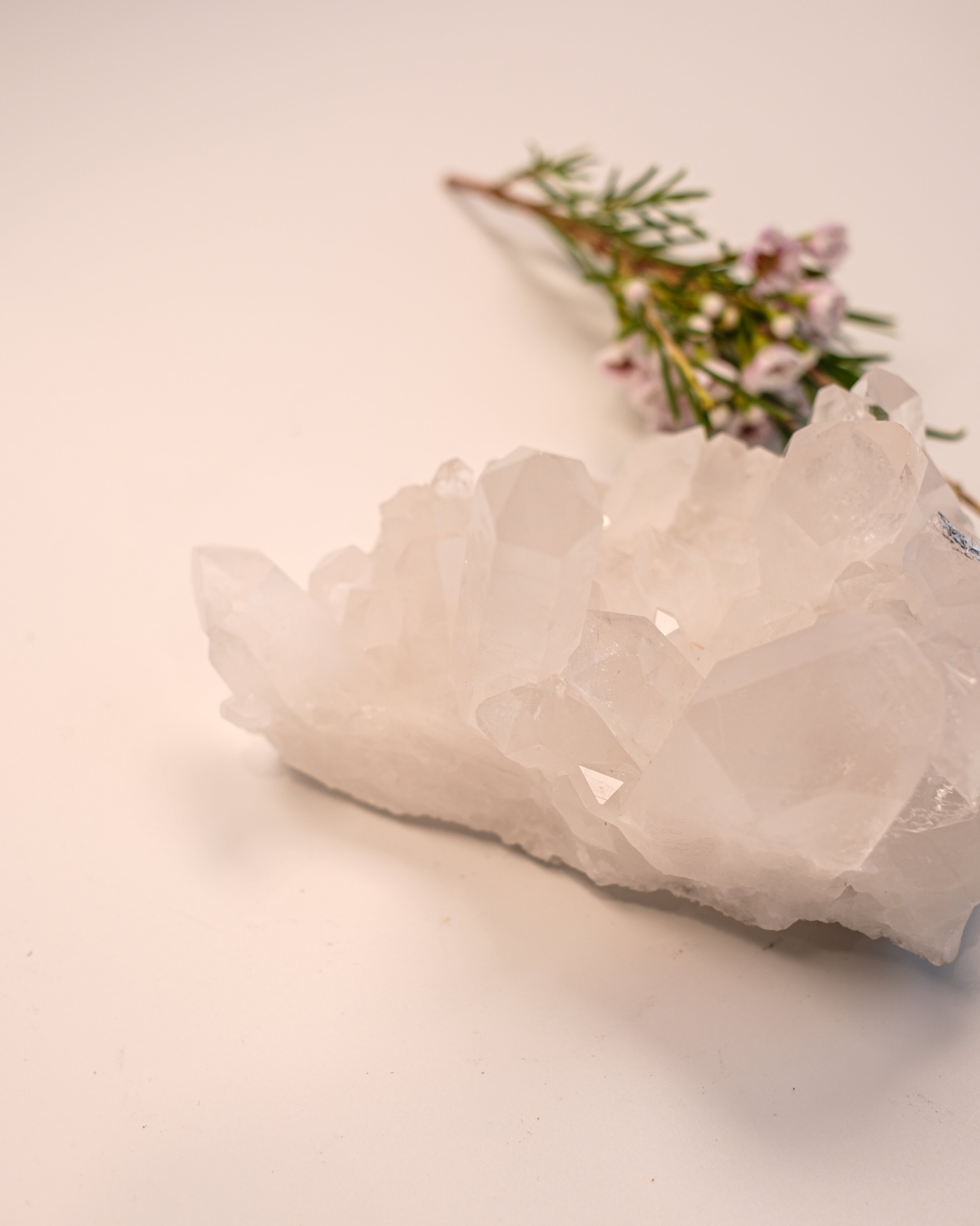 DIVINE EXPANSION - KRYSTAL - UNIKA