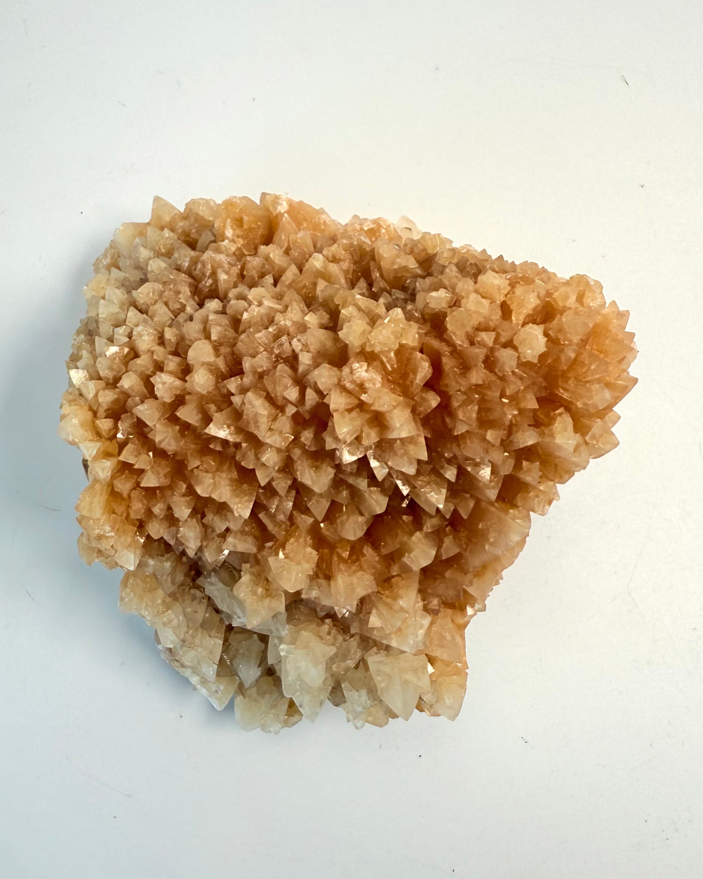 DEN SUVERÆNE OPLØFTNING - KRYSTAL - UNIKA