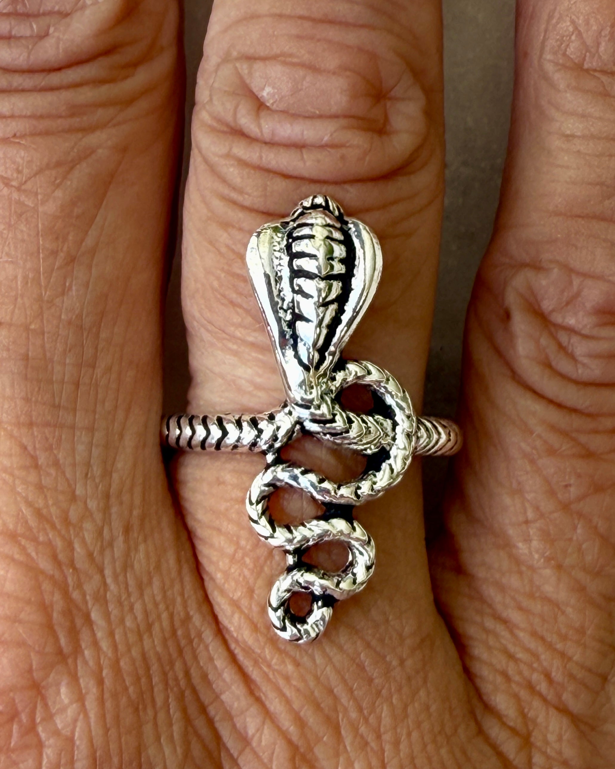 BORN TO BE WILD - RING 1 tilb