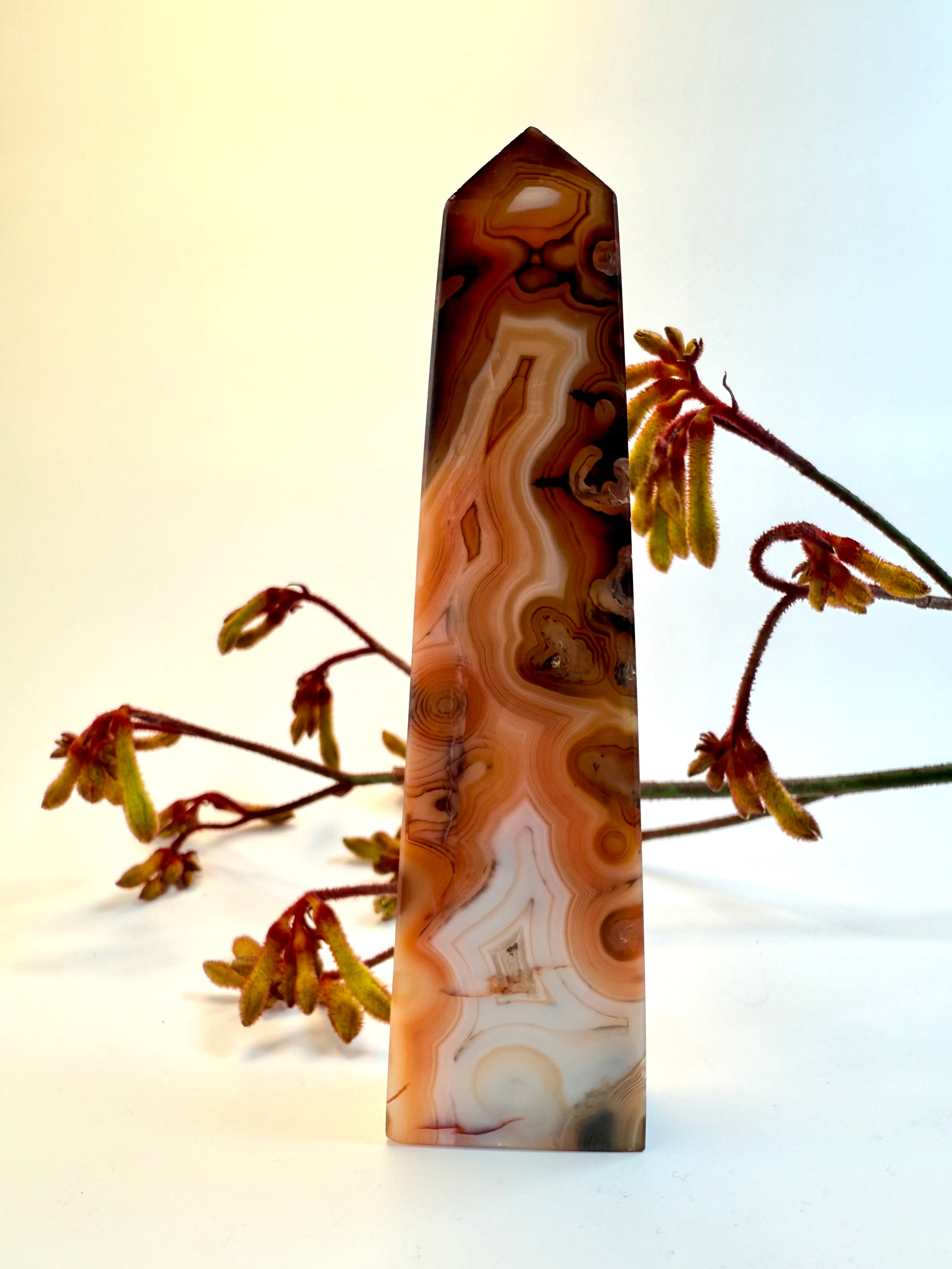 VILDHEKSENS UBUNDNE SPROG - KRYSTAL - UNIKA