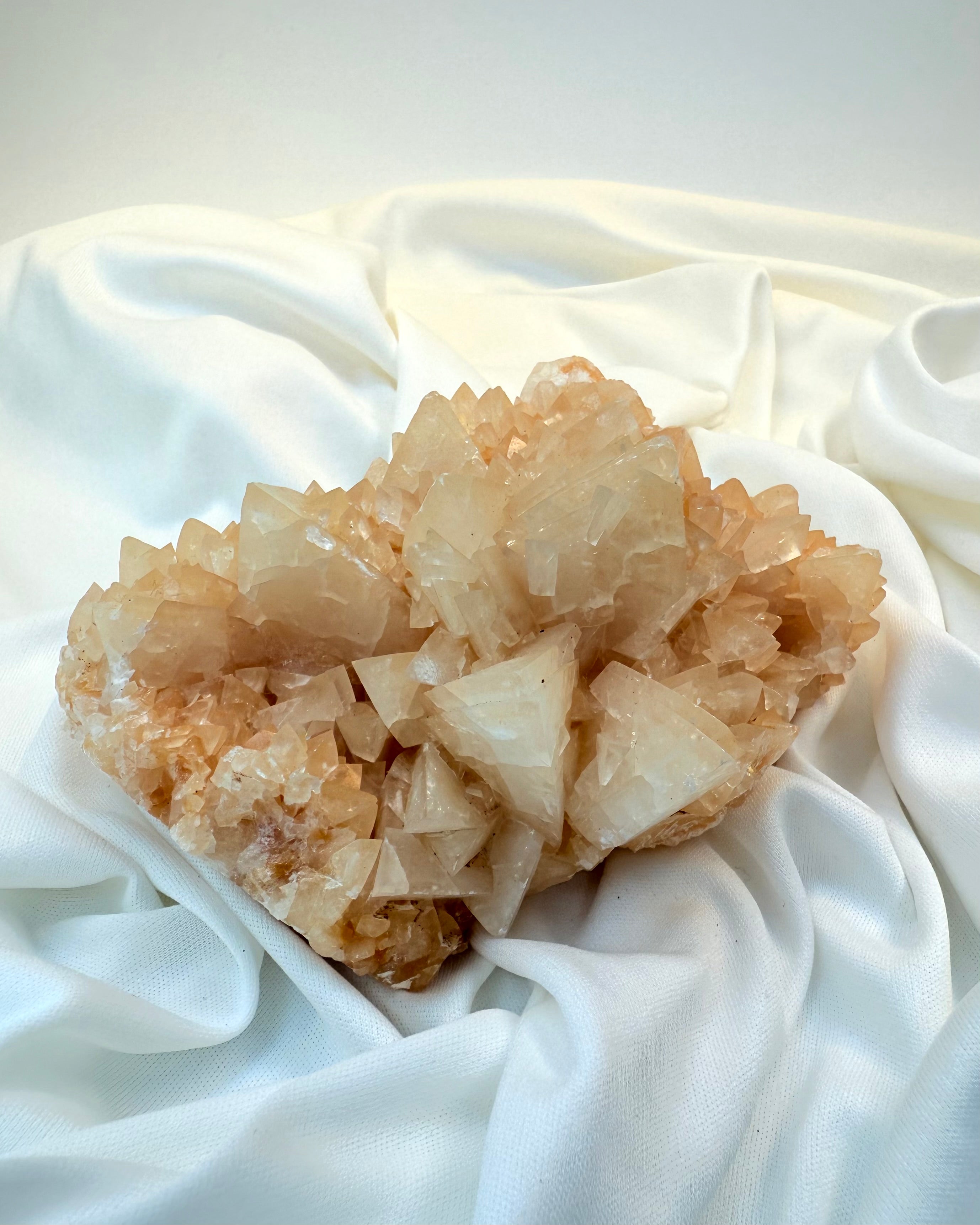 FORSVAR ELLER ACCEPT - KRYSTAL - UNIKA