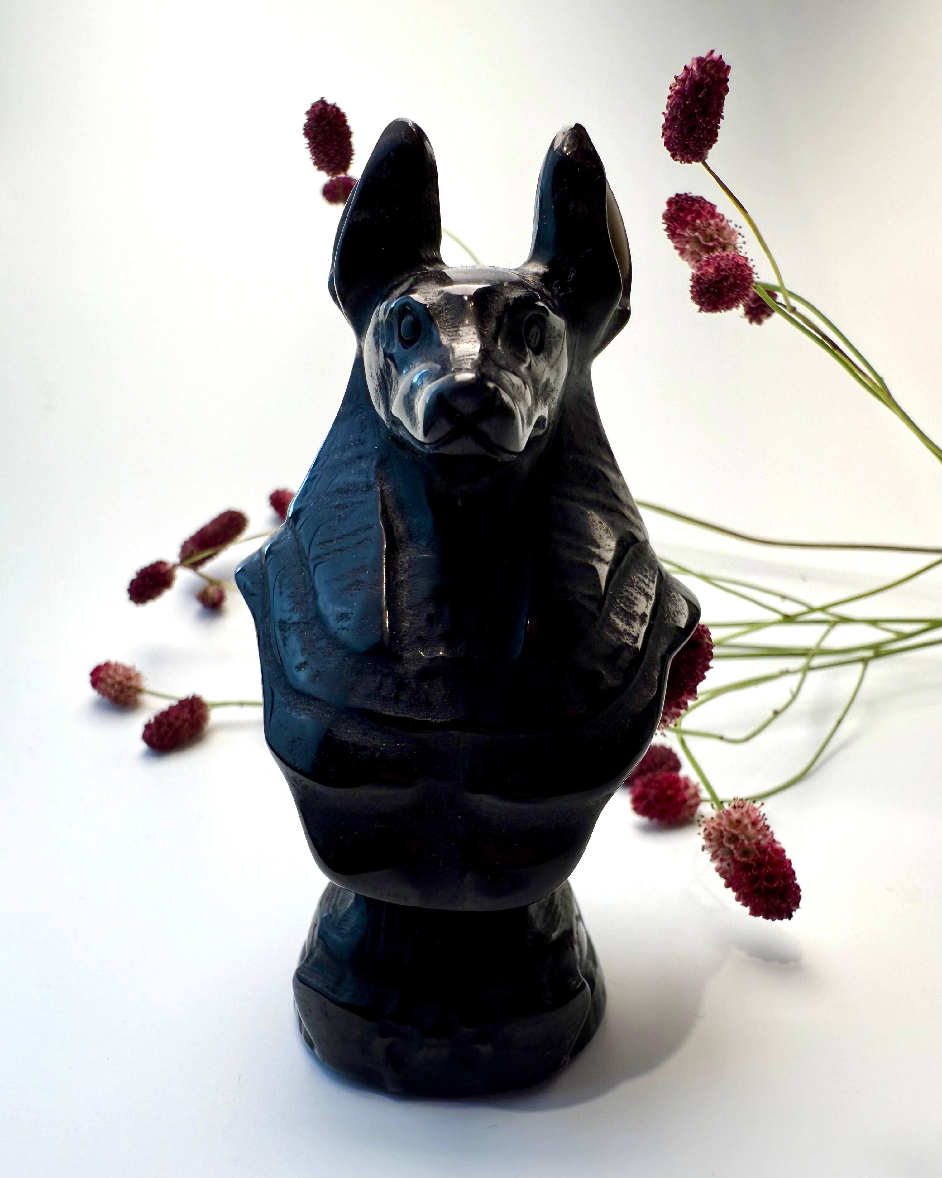 KONFRONTER DIN FRYGT - SJAKAL