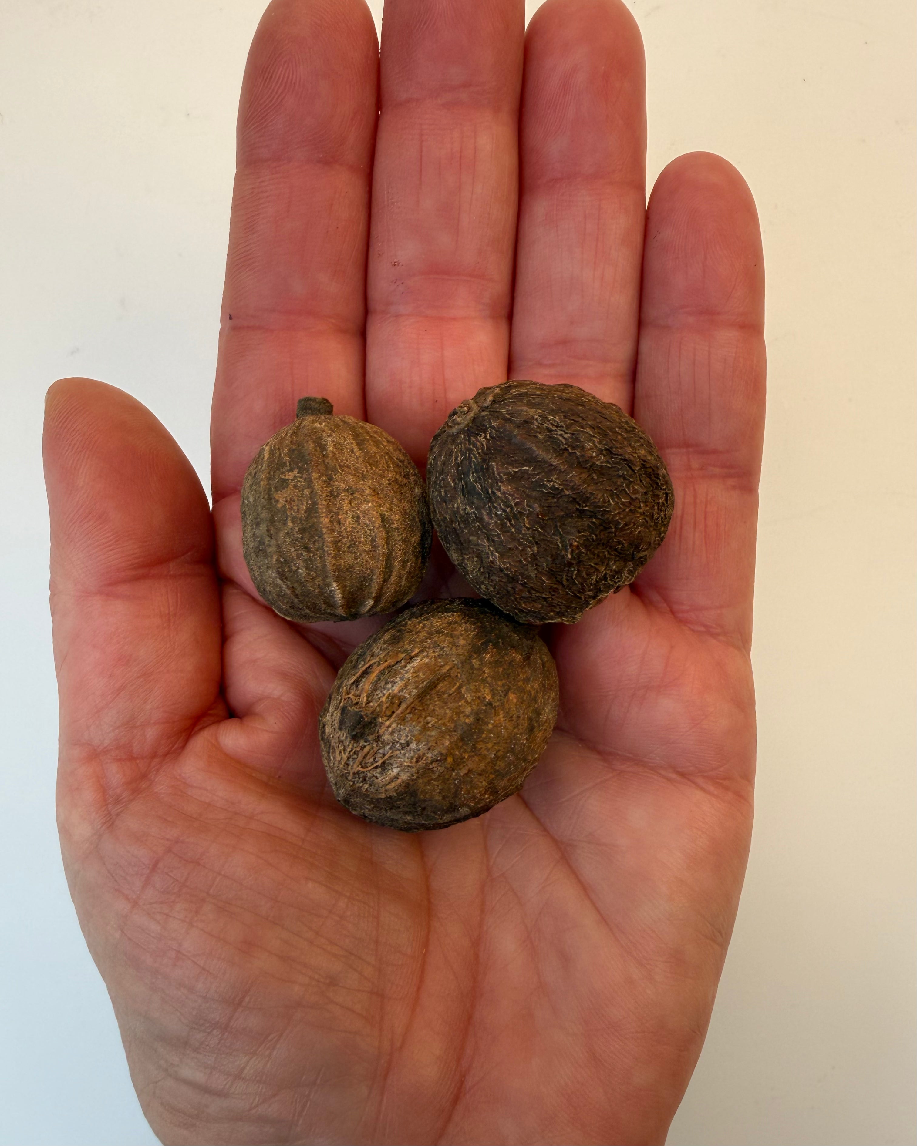 TRANCE OG BEVIDSTHEDSUDVIDELSE - RØGELSE