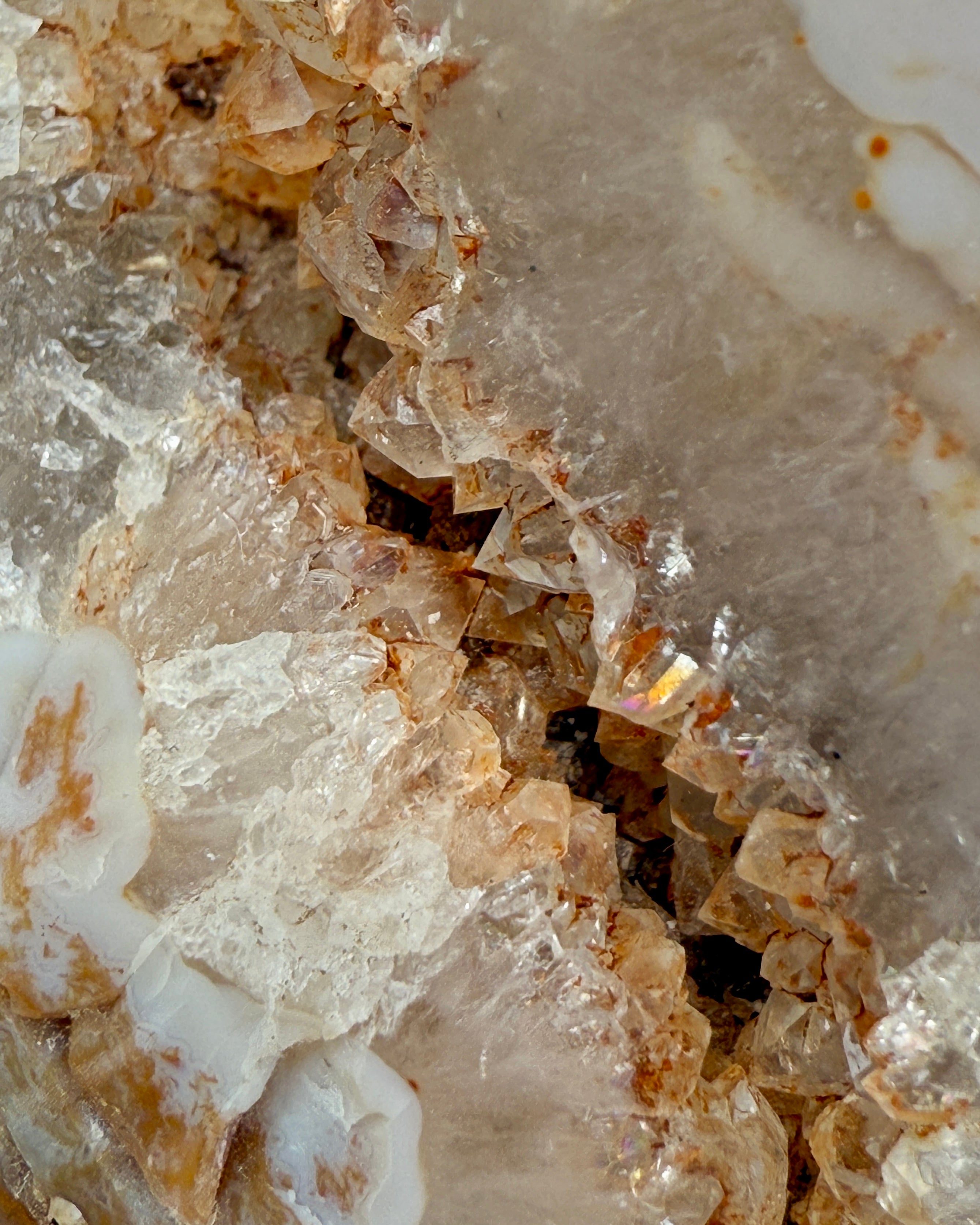 DEN OPHØJEDE OVERFLOD - UNIKA