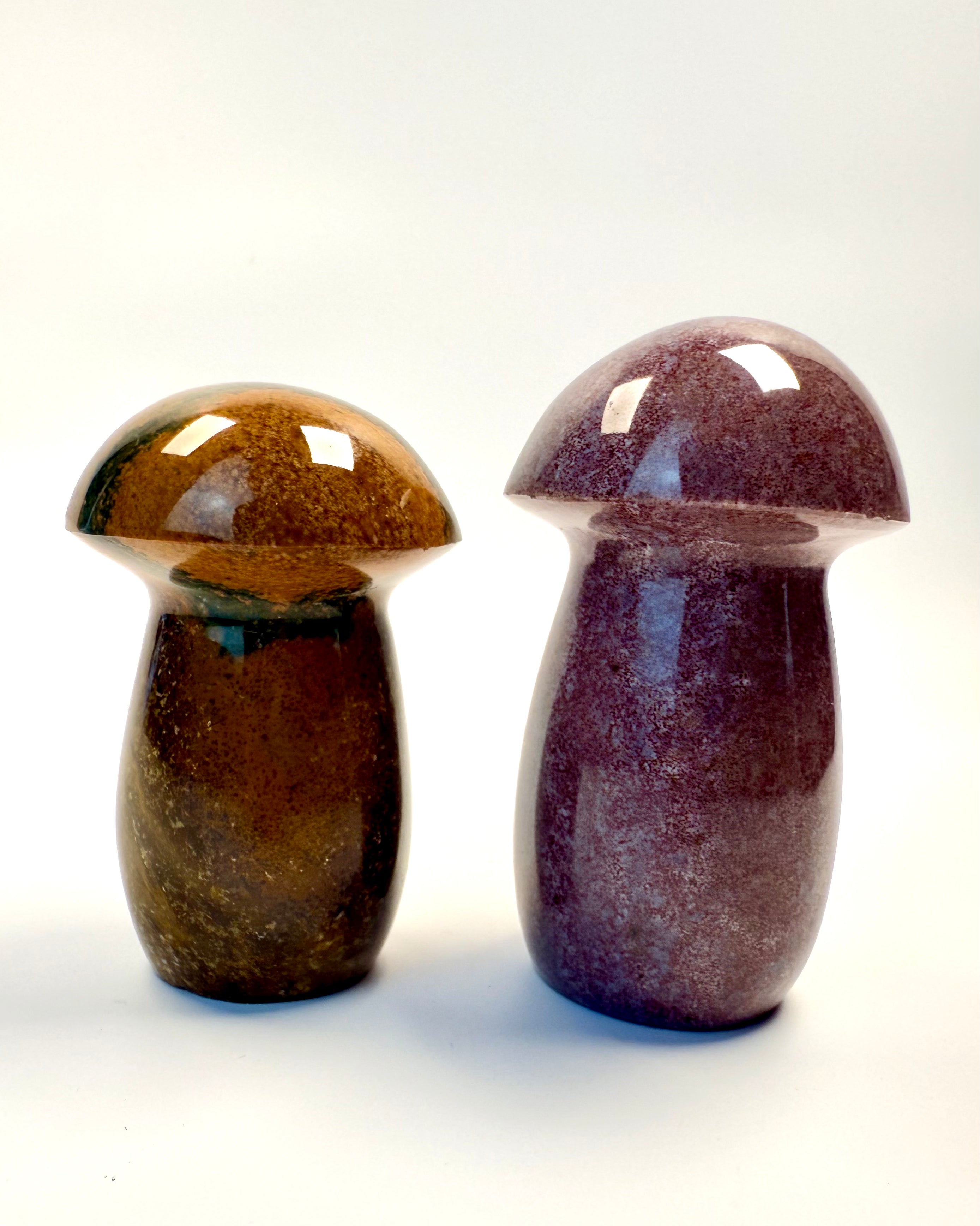 FORANKRET TIL MODERJORD - SVAMPESÆT - UNIKA