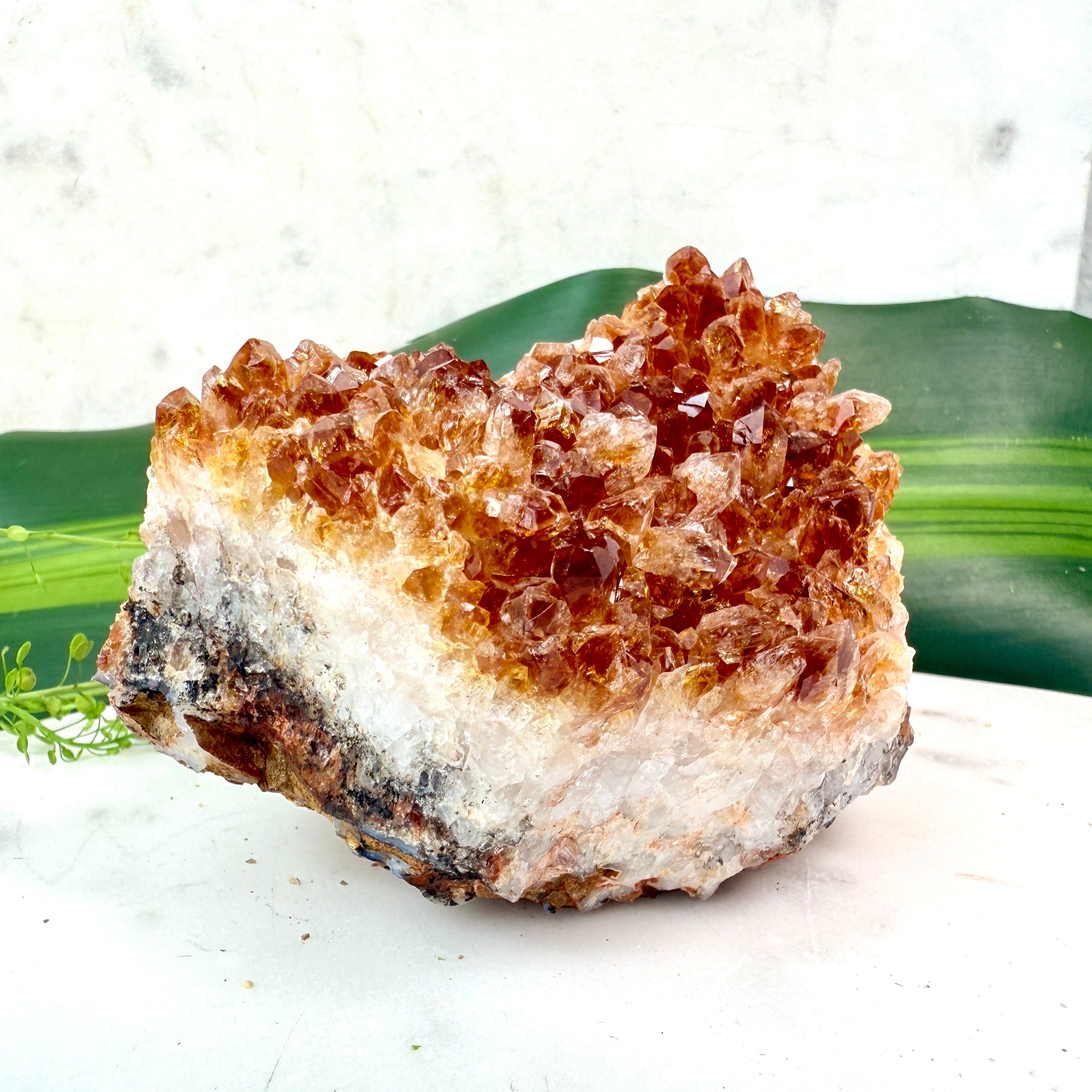 DEN ULTIMATIVE HEALER - UNIKA