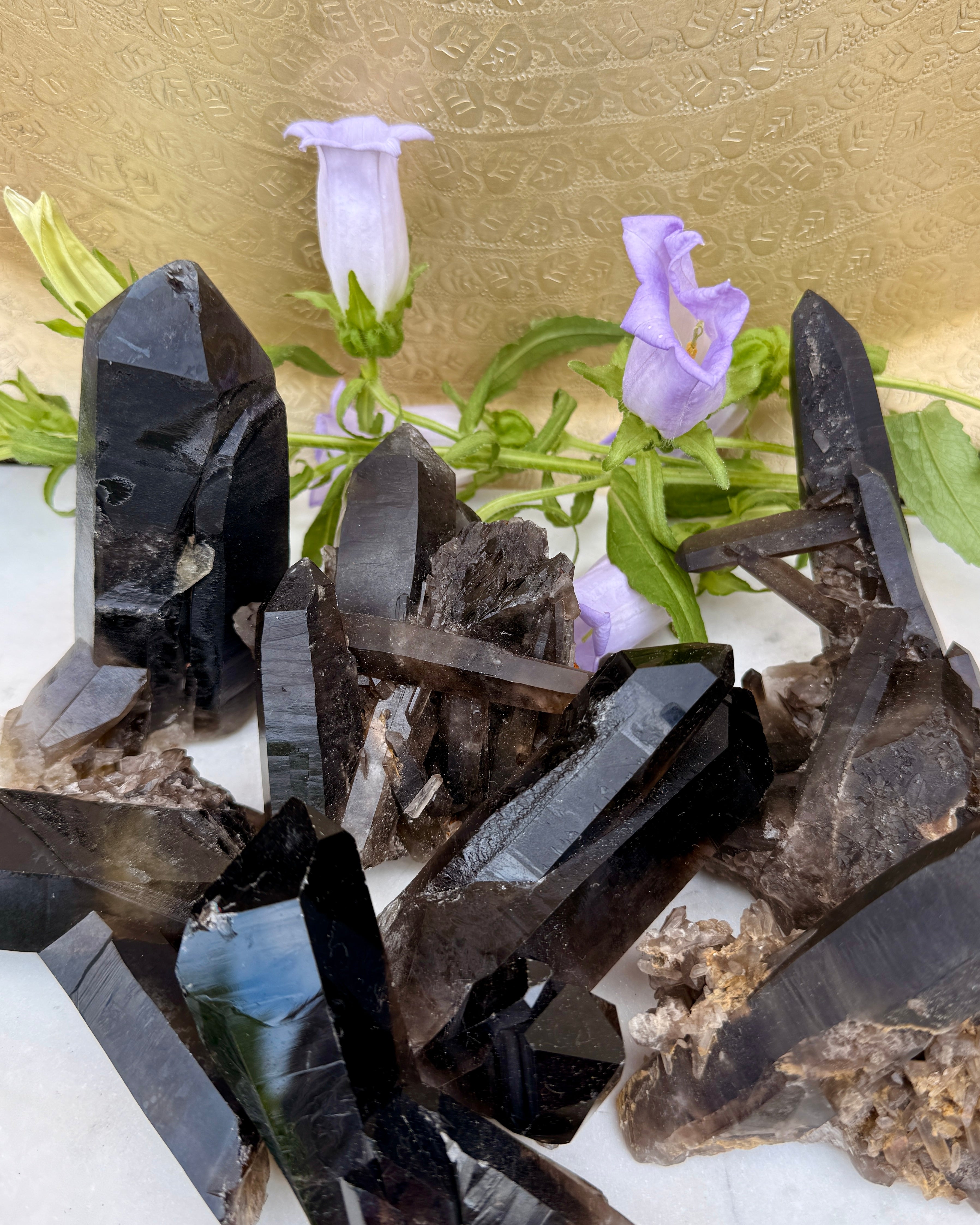 TIDSREJSER - KRYSTAL