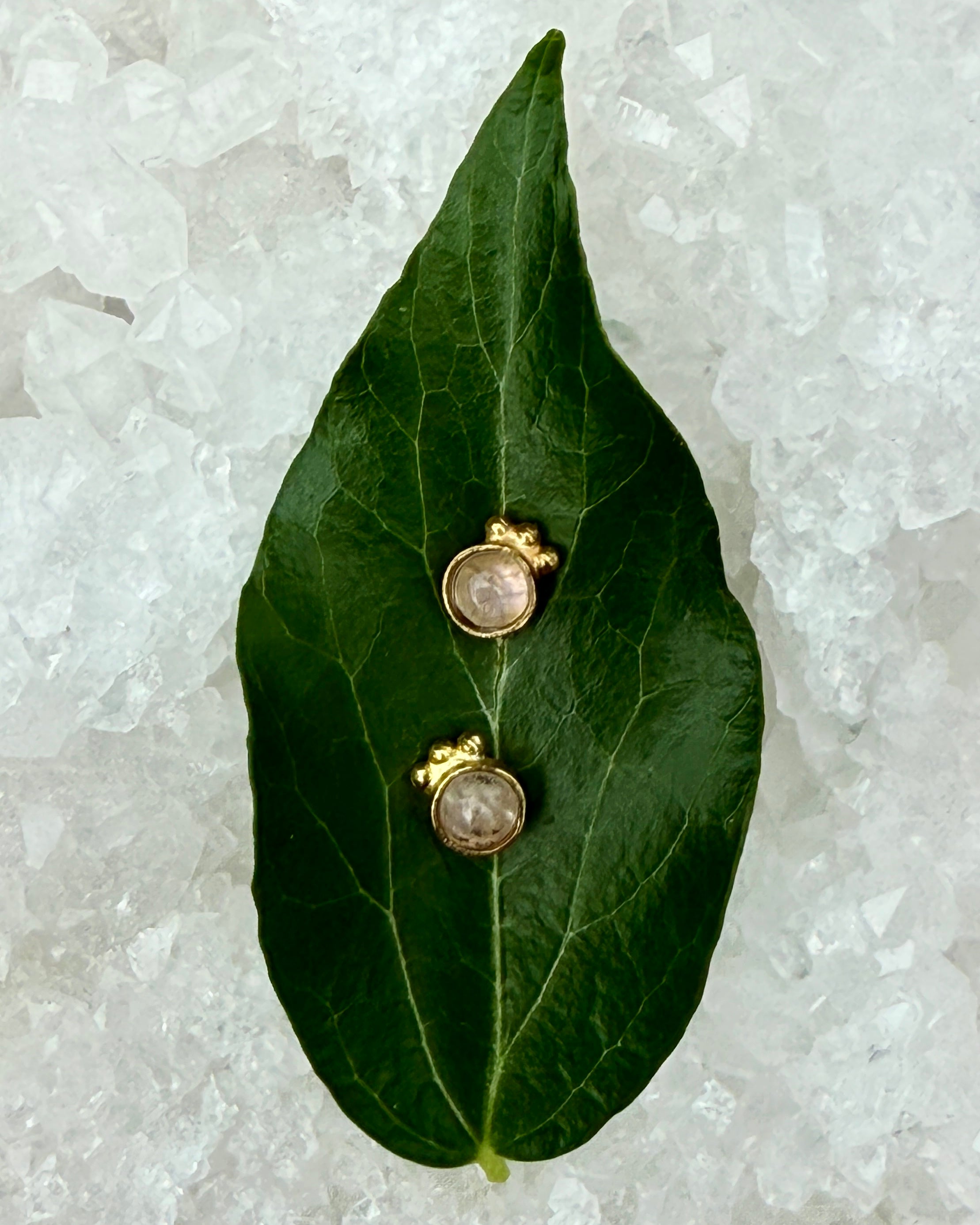 SELVKÆRLIGHED - ØRERINGE