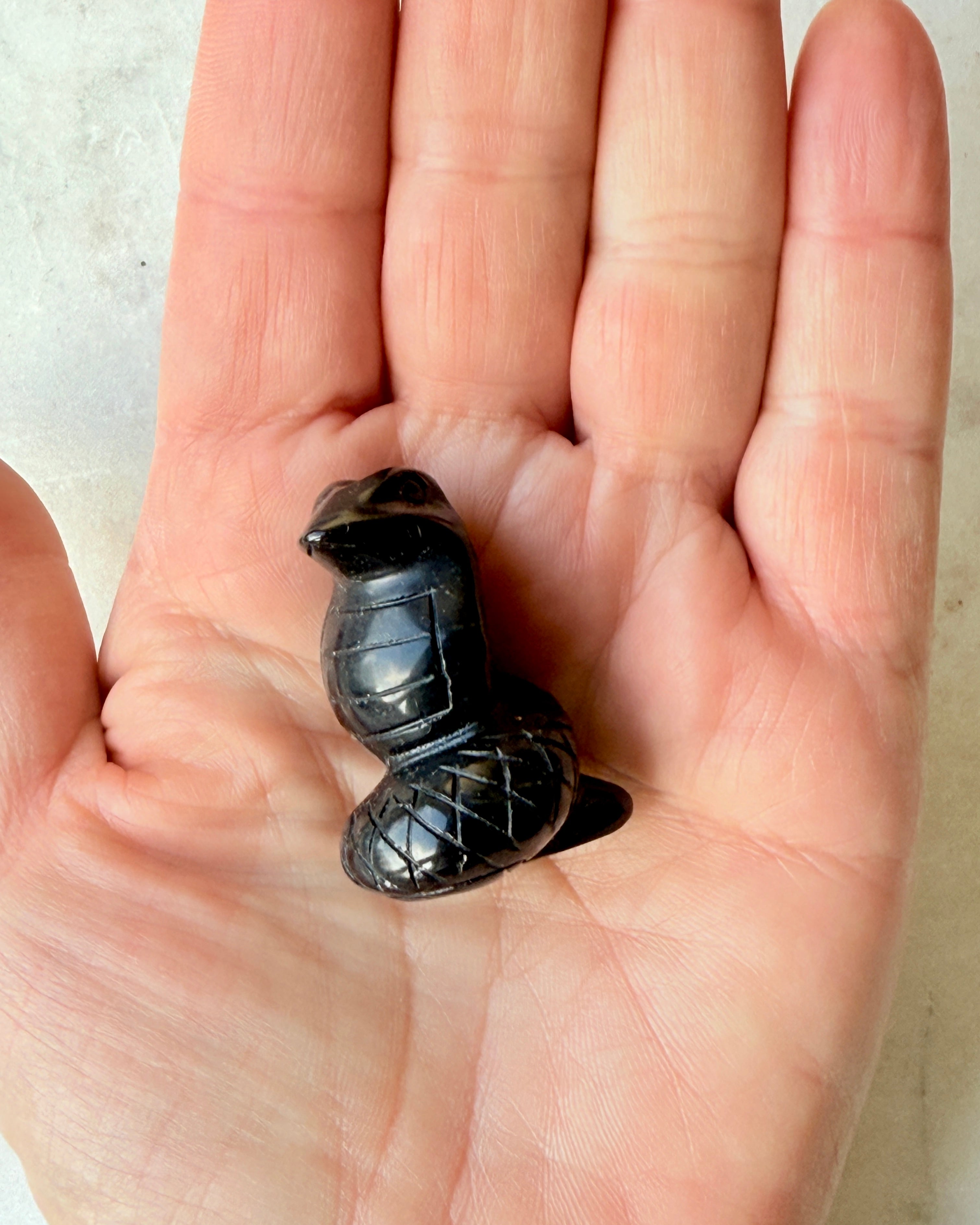 INDVIELSE OG FORVANDLING