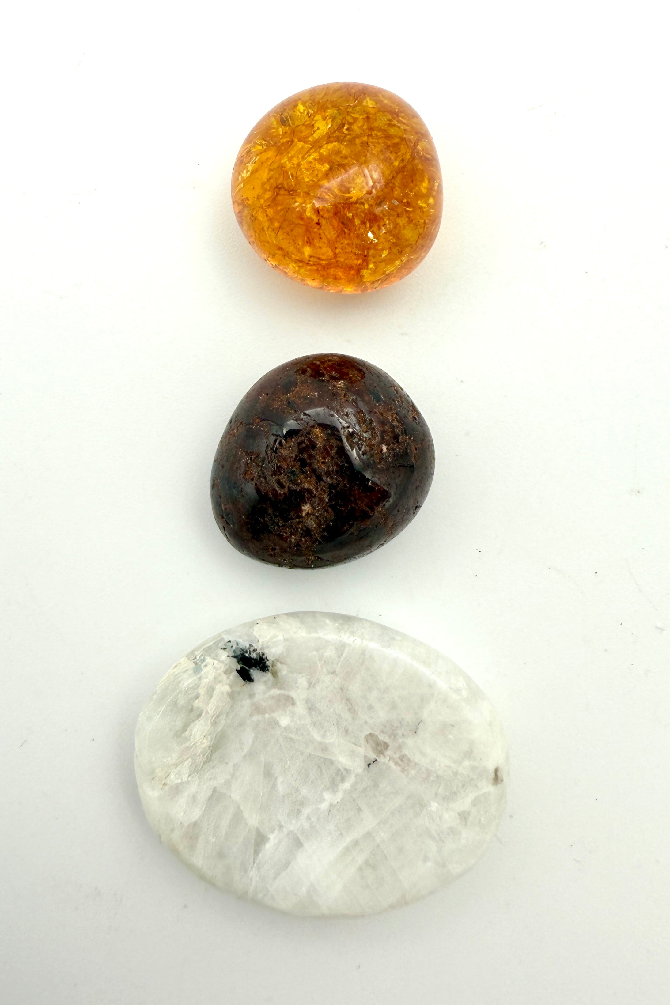 KONCENTRATION - BØRN