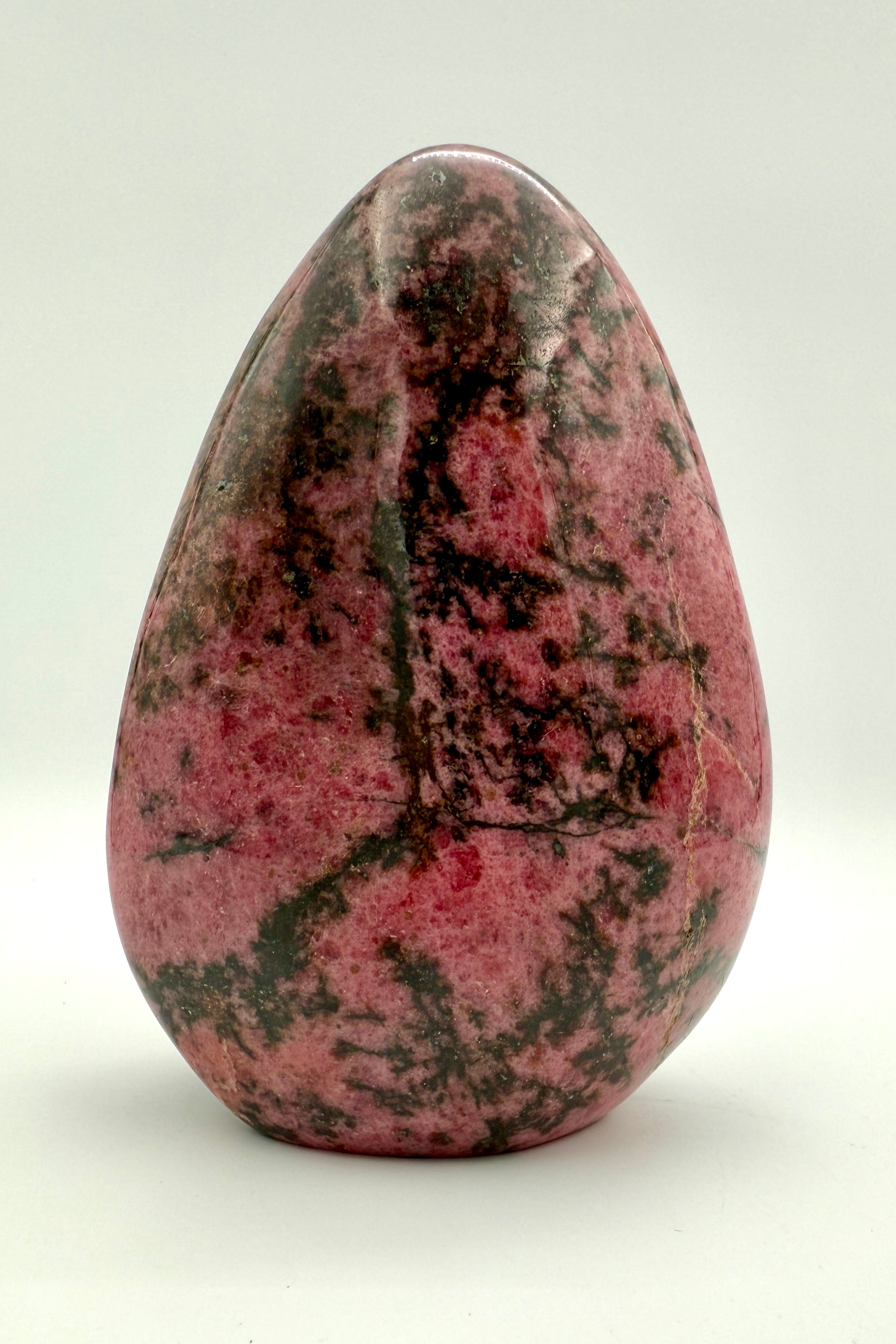 PORTEN TIL DYBERE INDSIGT - PORTAL - UNIKA