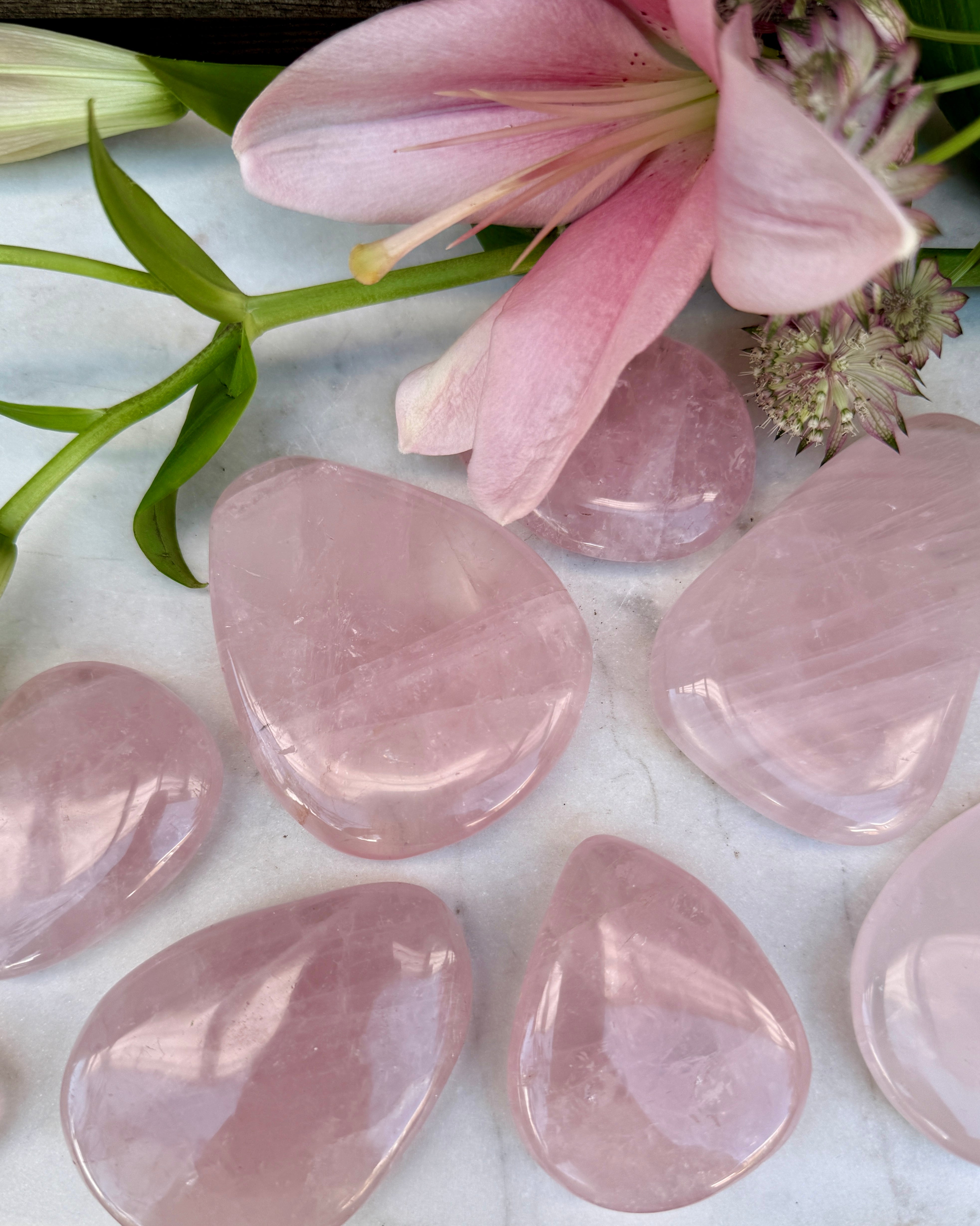 VENUSDRÅBE - KRYSTAL