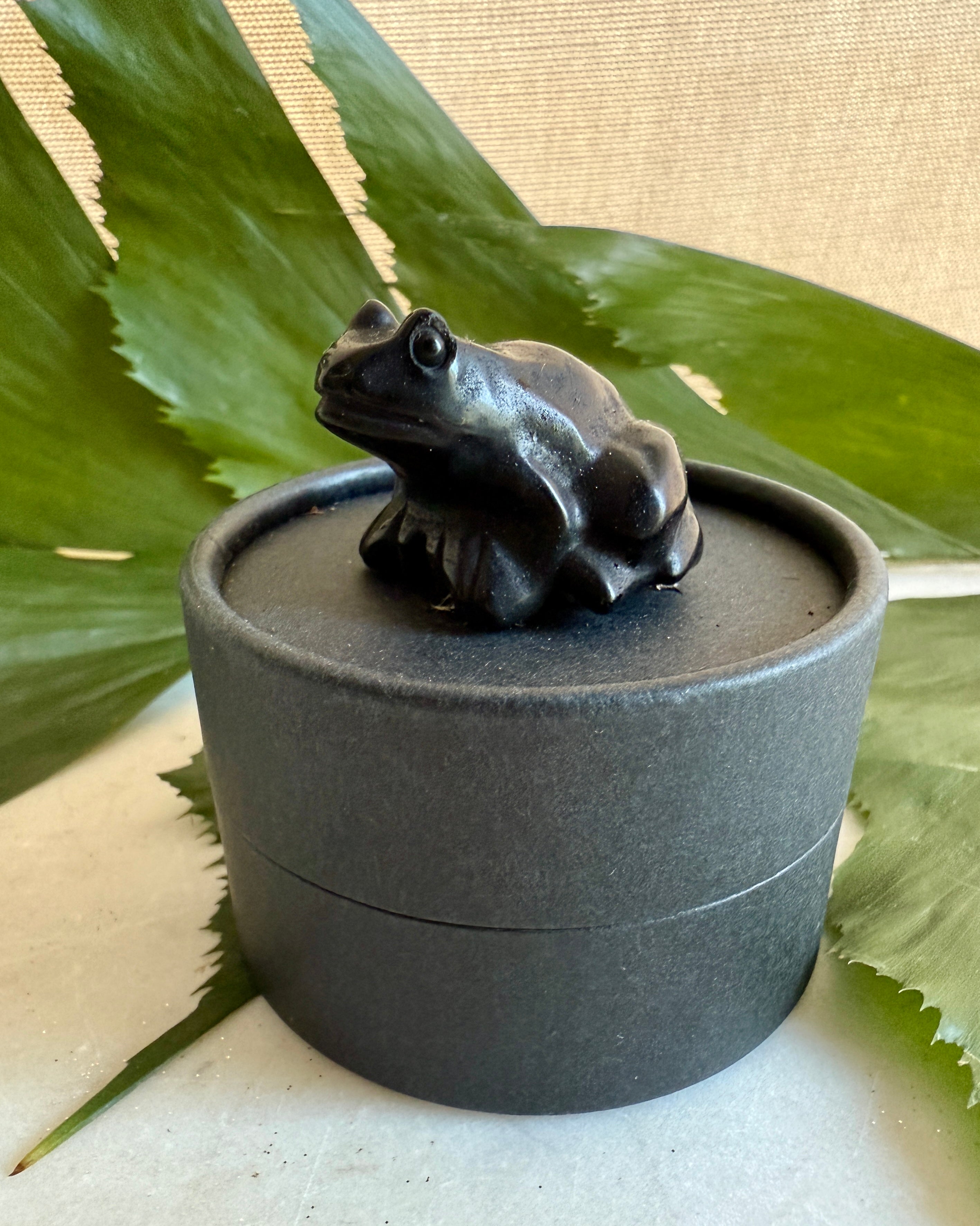 SPRINGET MELLEM VERDENER - ÆSKE