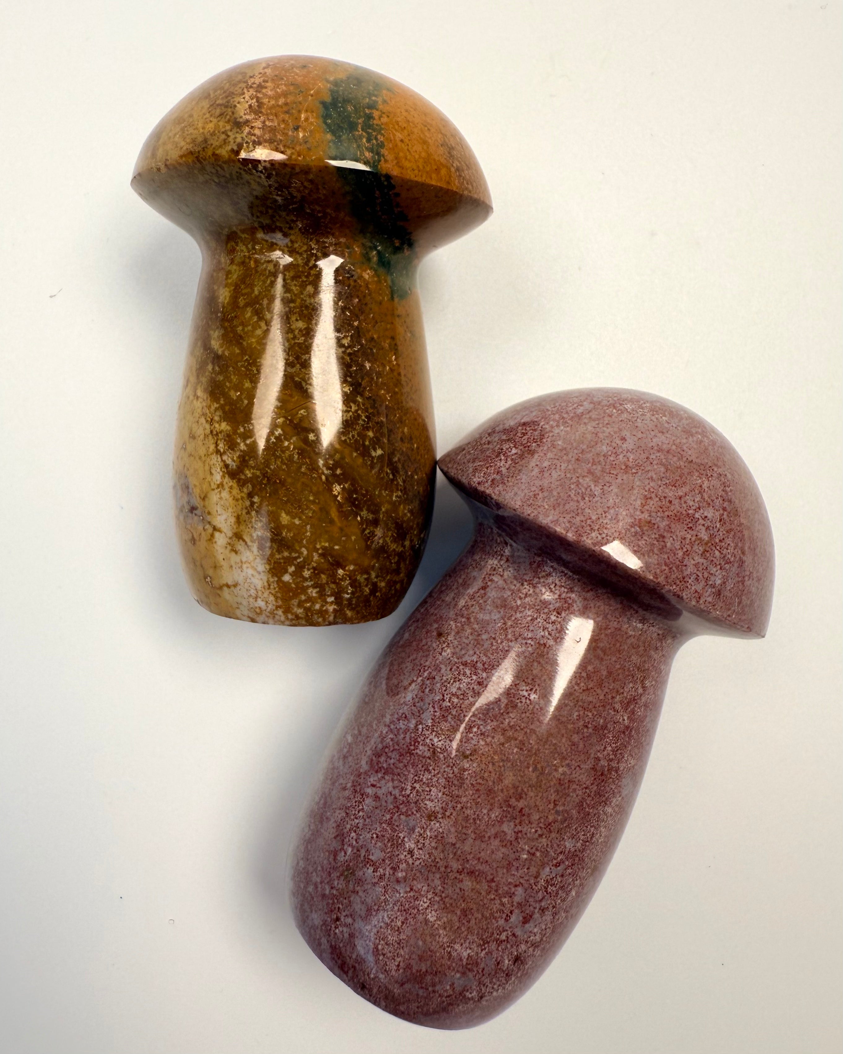 FORANKRET TIL MODERJORD - SVAMPESÆT - UNIKA