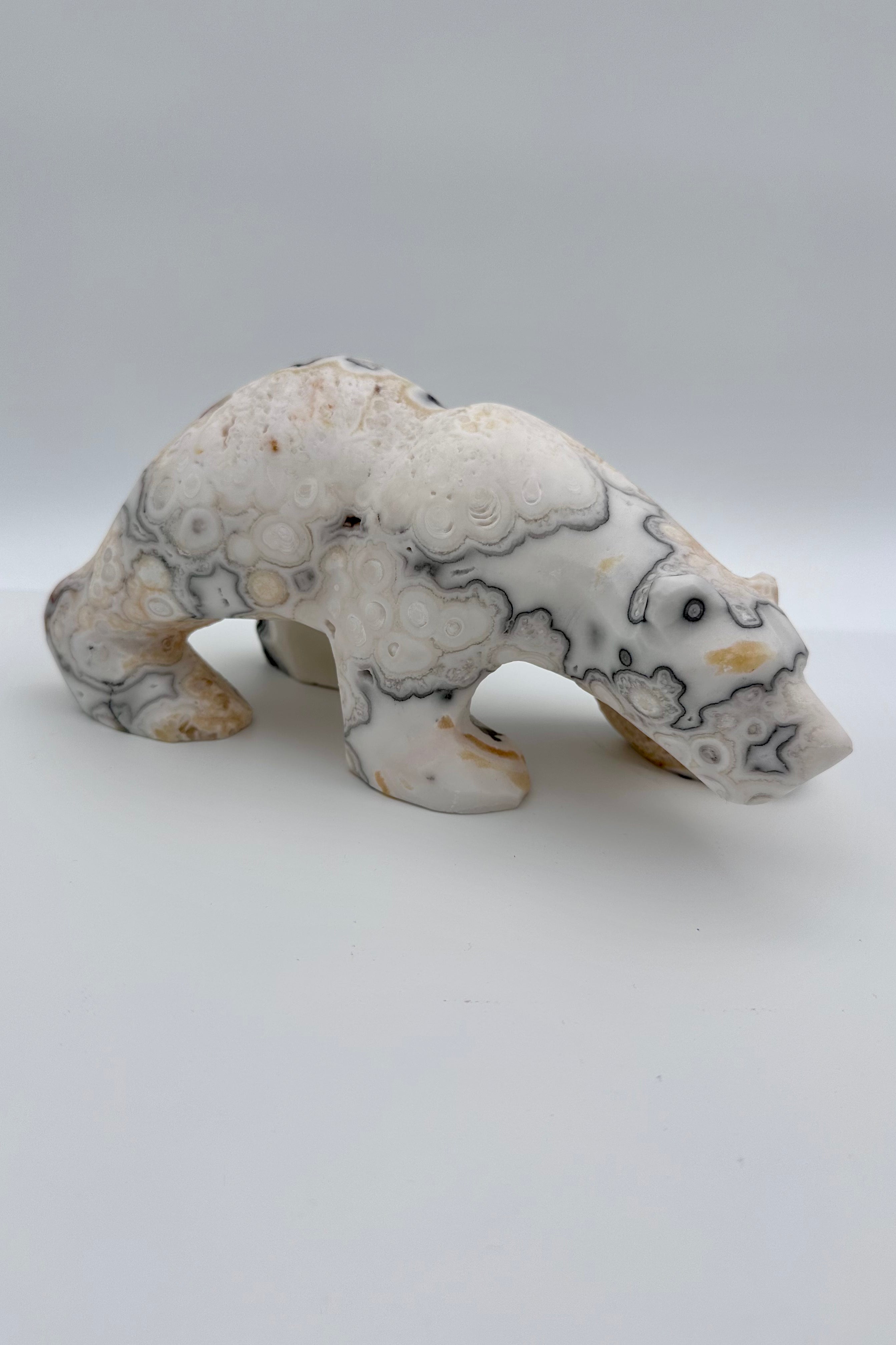 TAKE A RISK - ISBJØRN