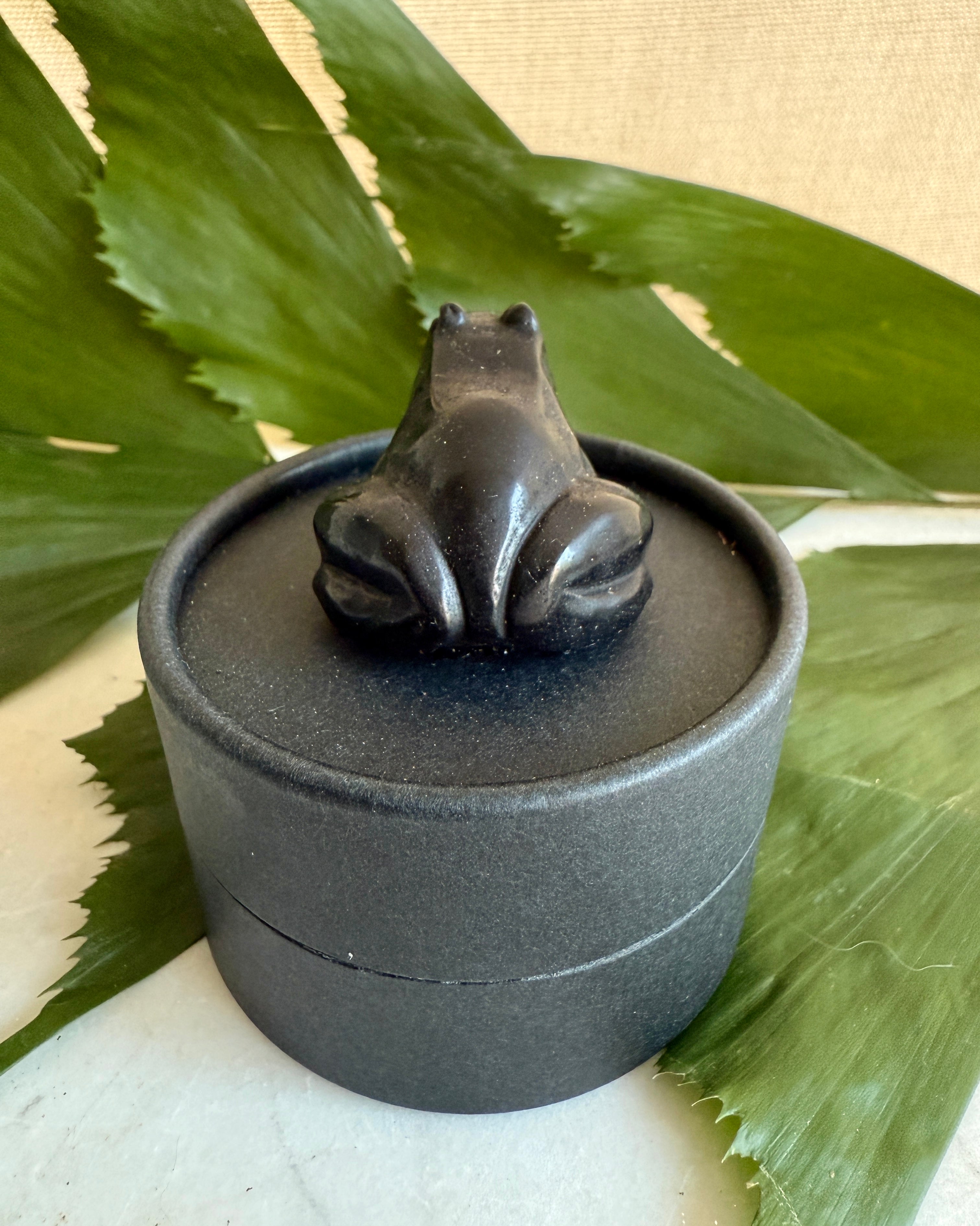 SPRINGET MELLEM VERDENER - ÆSKE