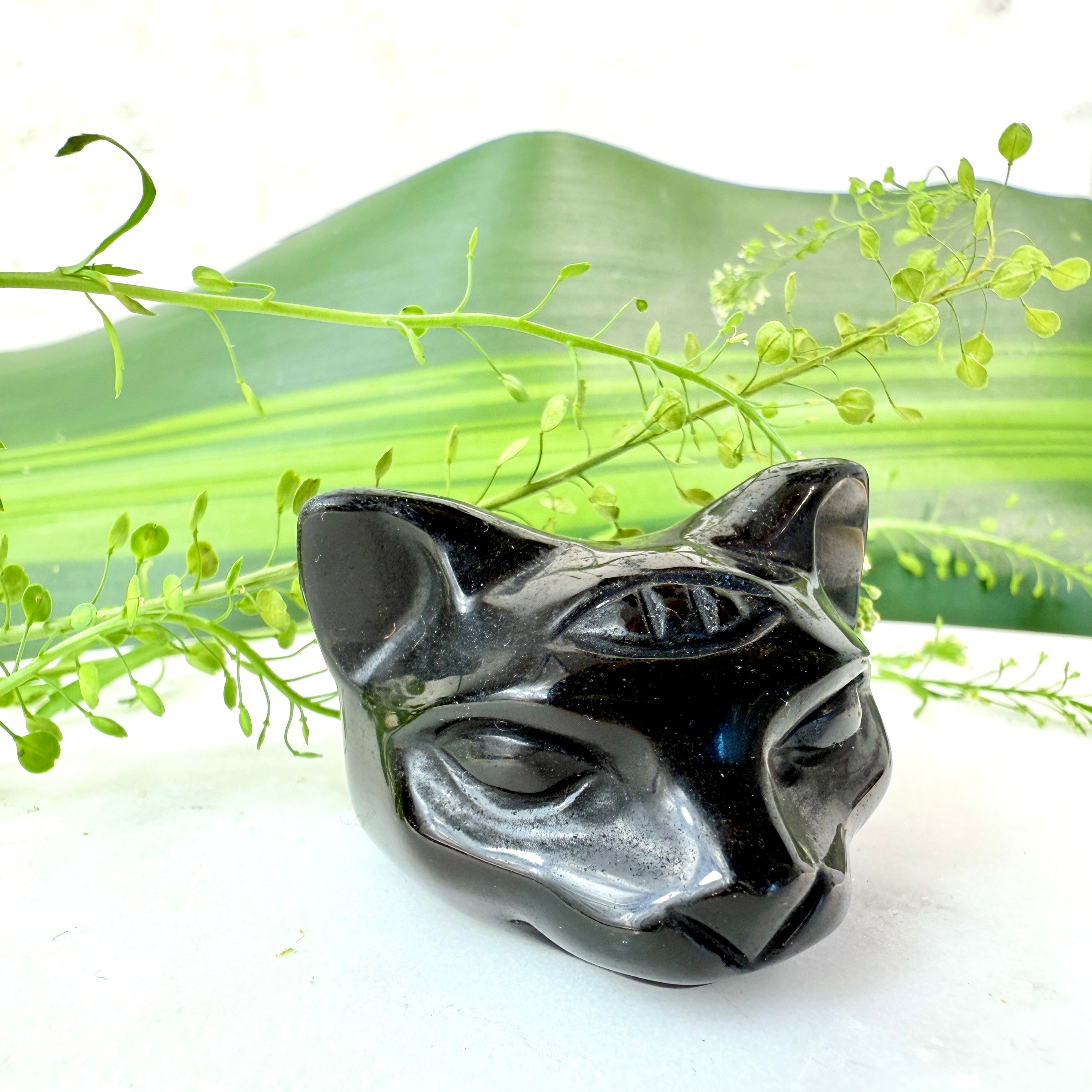 BORN ALIGNED - UNIKA