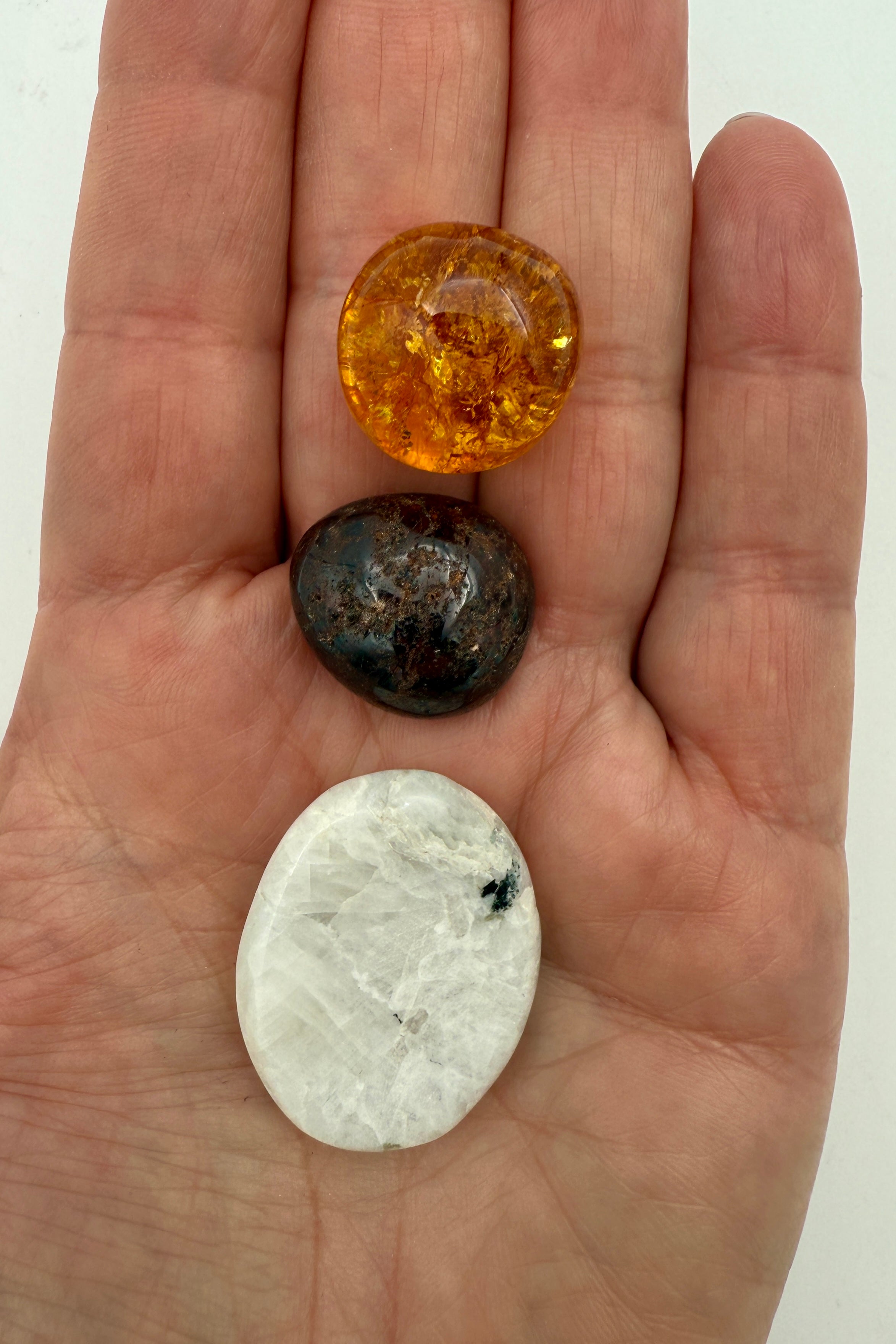 KONCENTRATION - BØRN