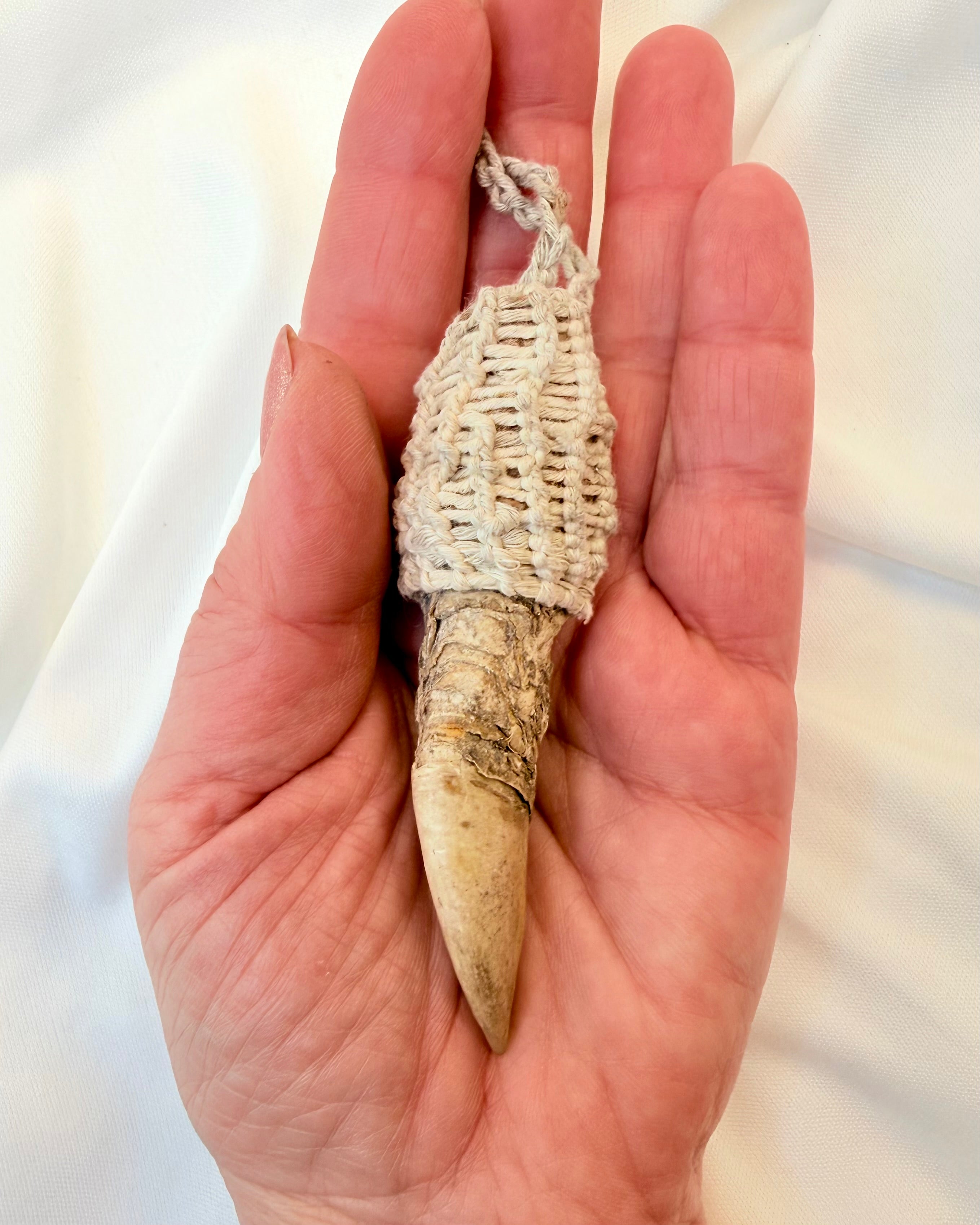 ROVDYRETS KRAFT - AMULET