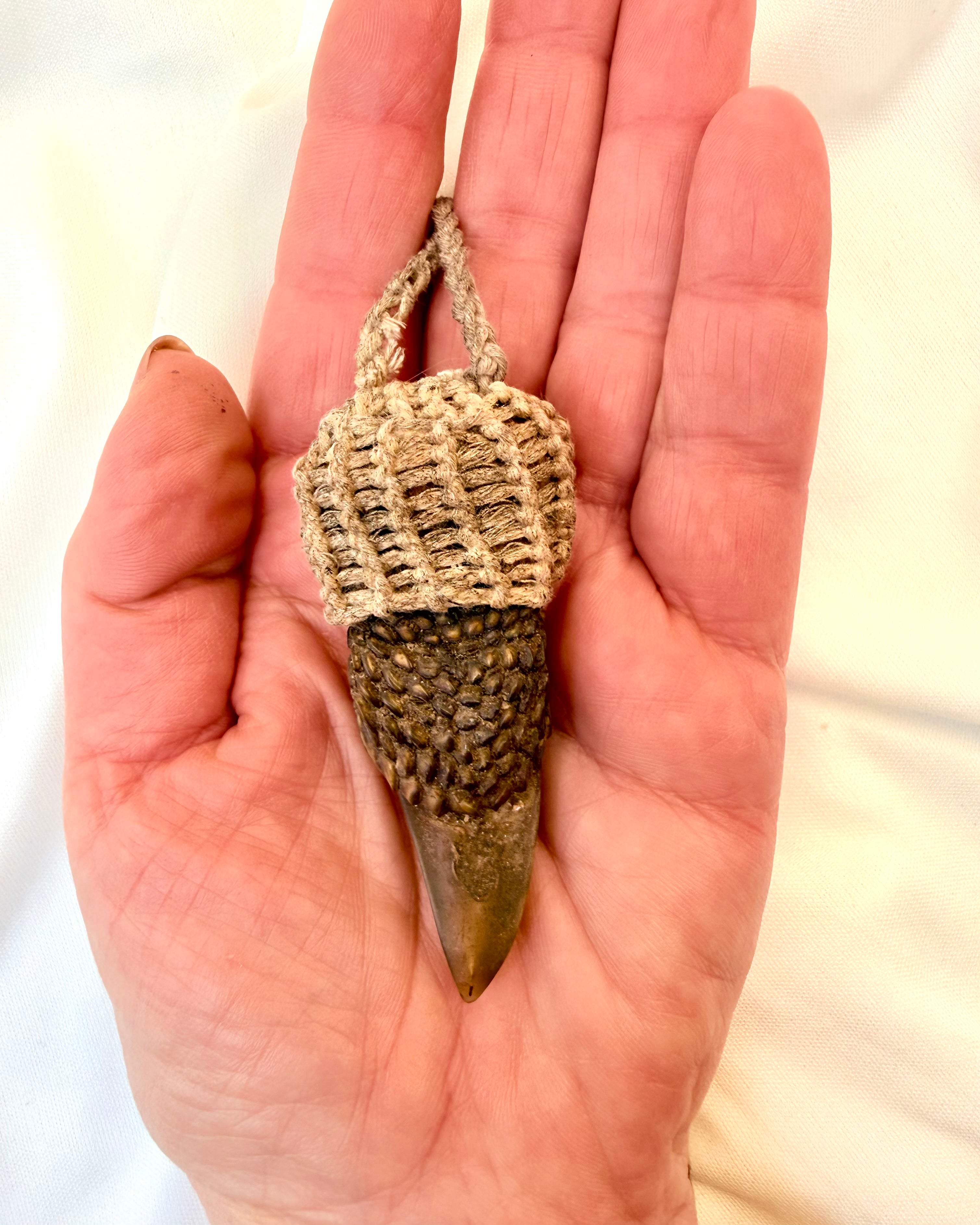 ROVDYRETS KRAFT - AMULET