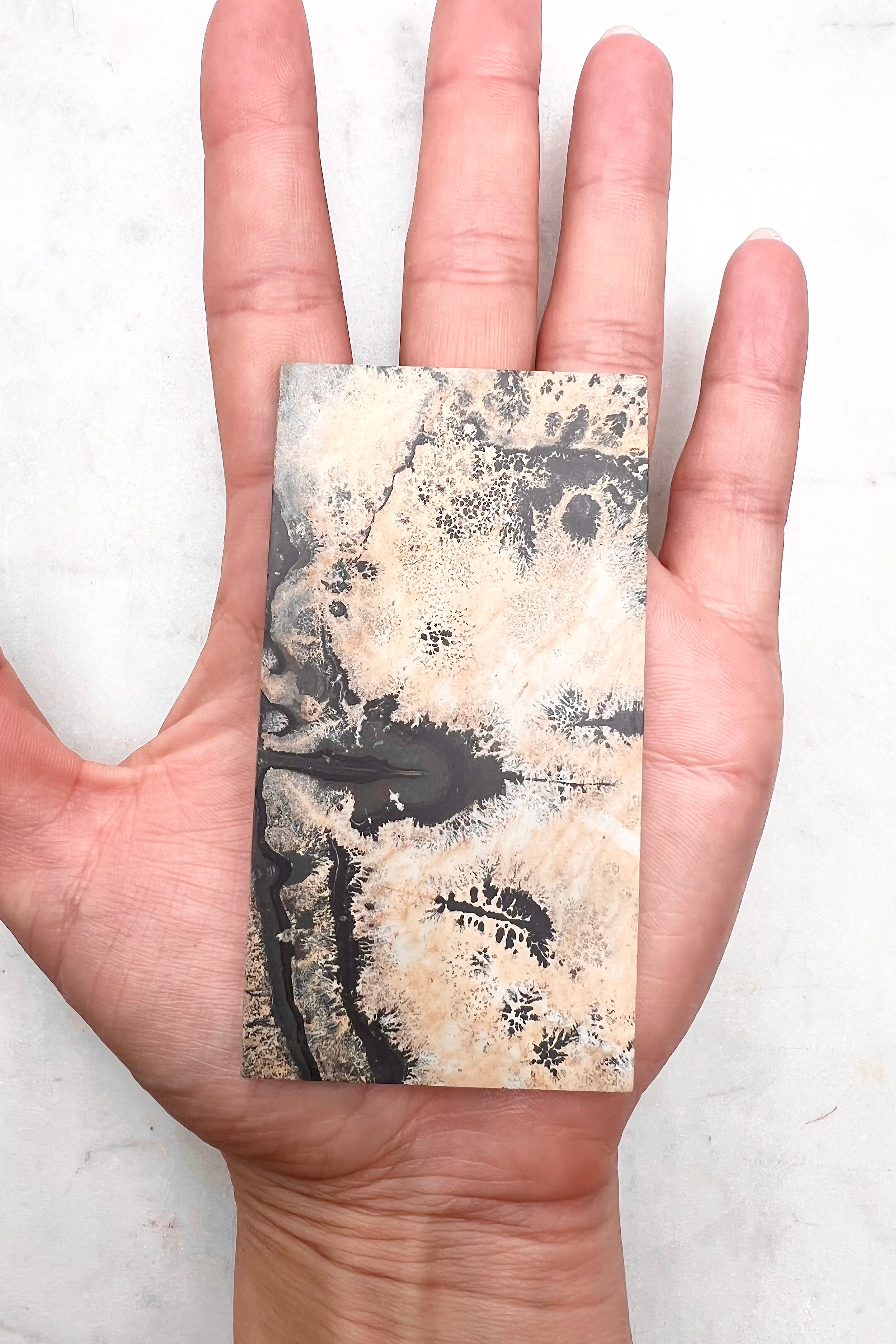 DIT KRAFTSTED FRA TIDLIGERE LIV - Krystalplade